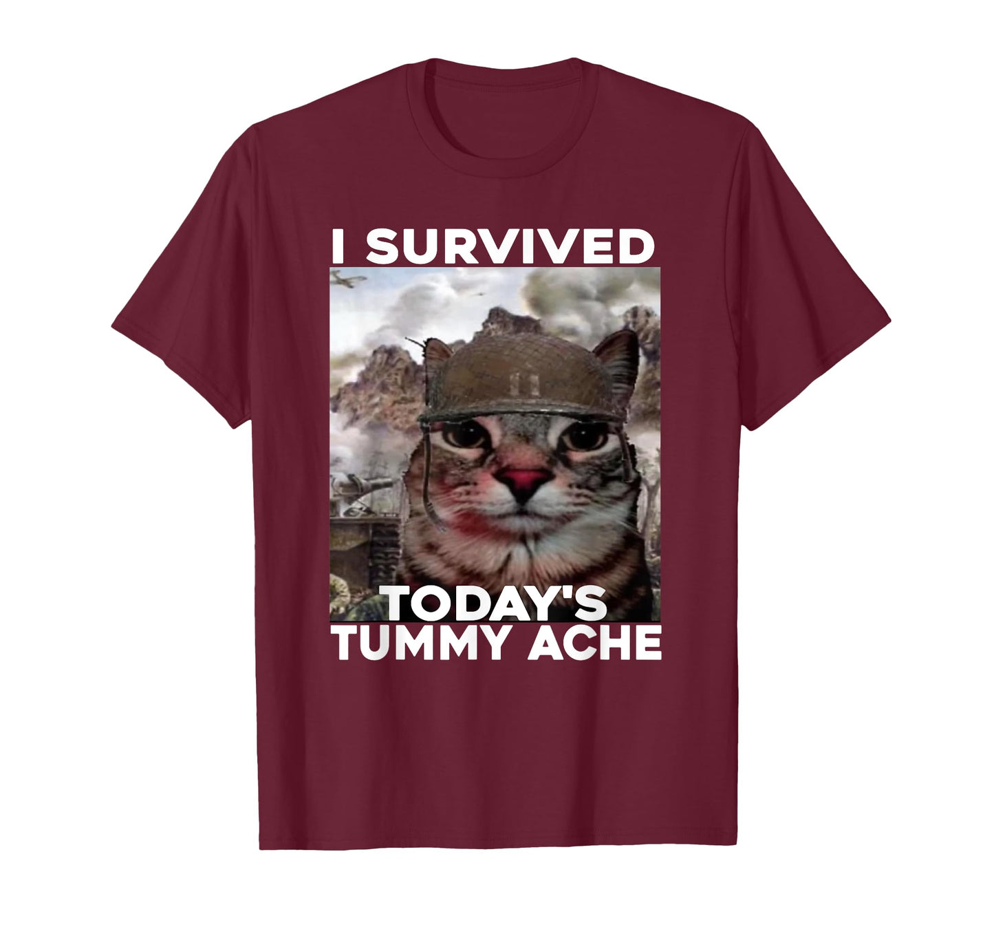 I Survived Today's Tummy Ache cat T-Shirt