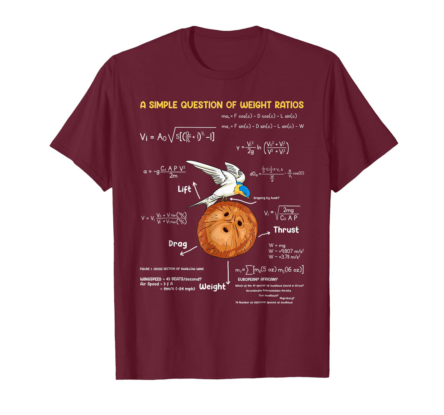 A Simple Question Of Weight Ratios Funny Math Teacher T-Shirt