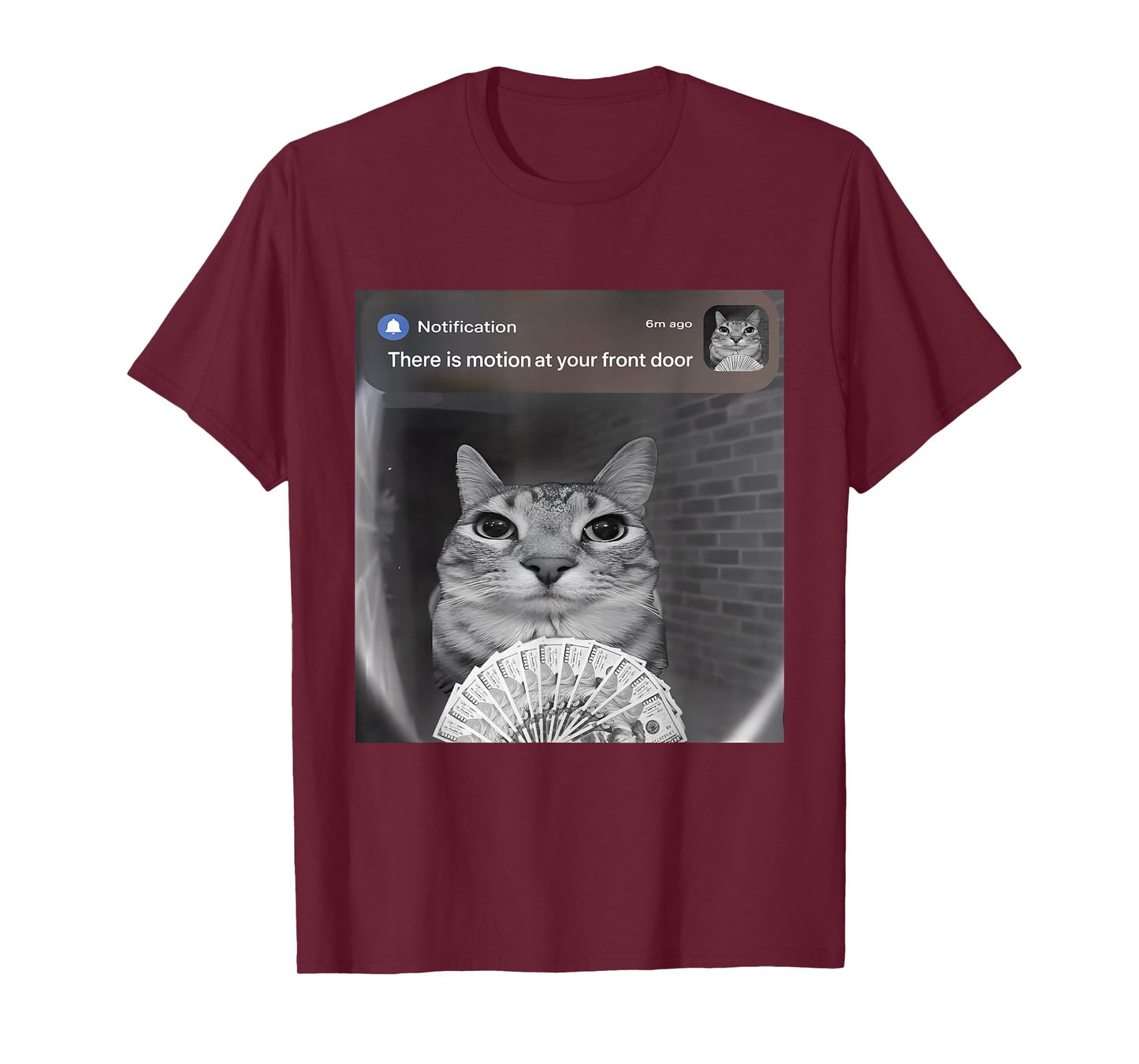 There is Motion at Your Front Door Funny Cat Motion Meme T-Shirt