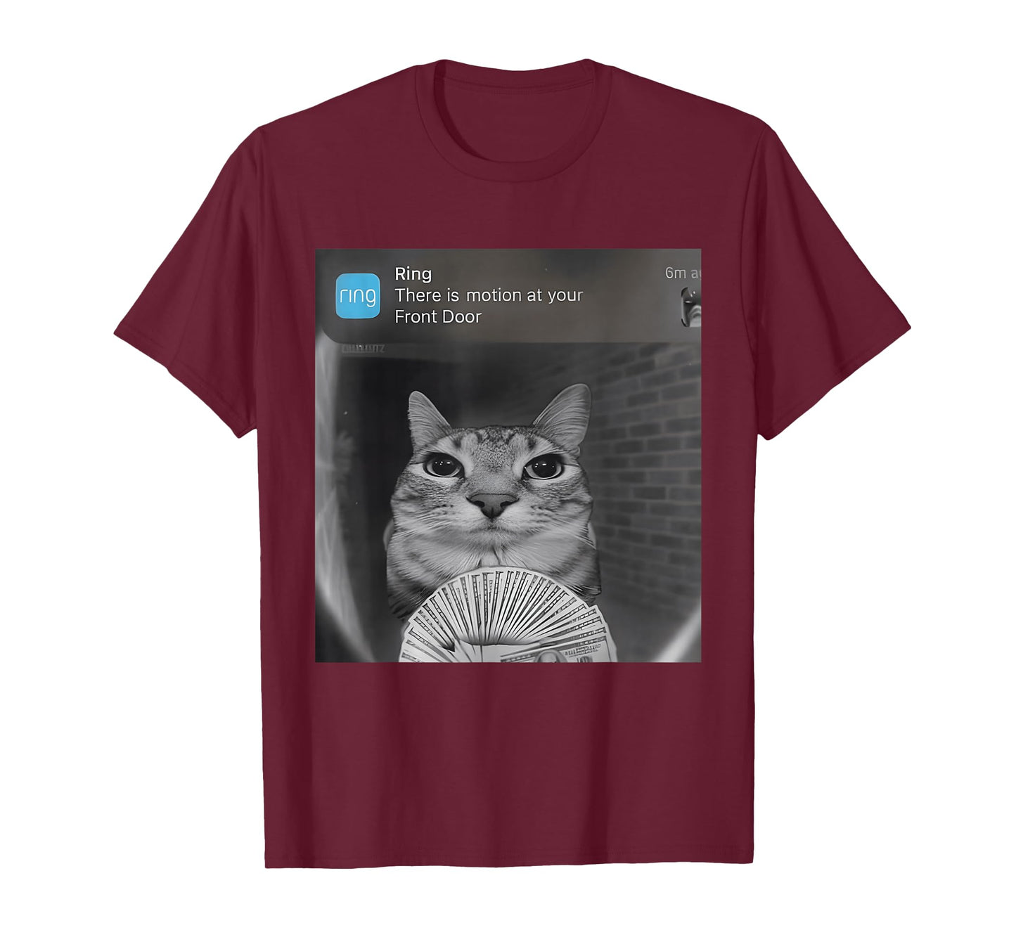 Ring Cat with Motion Funny Parody Cat Meme Silly Stupid Meme T-Shirt