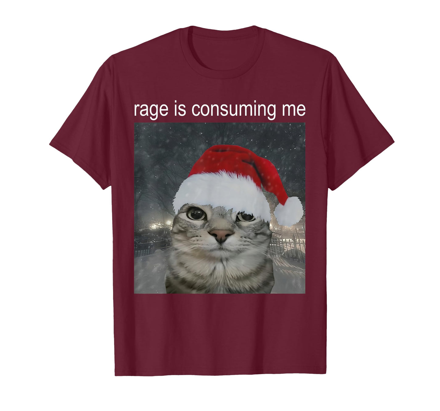 Rage Consumes Me Funny Christmas Cat Meme Women Men T-Shirt
