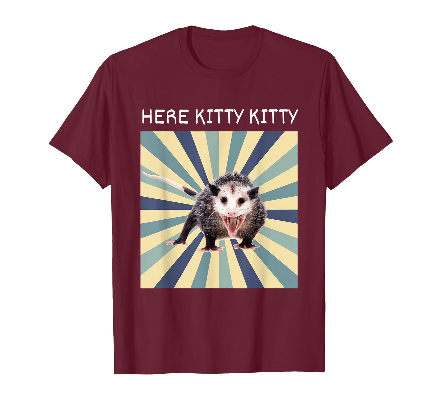 Here Kitty Kitty Opossum Funny Street Cat T-Shirt