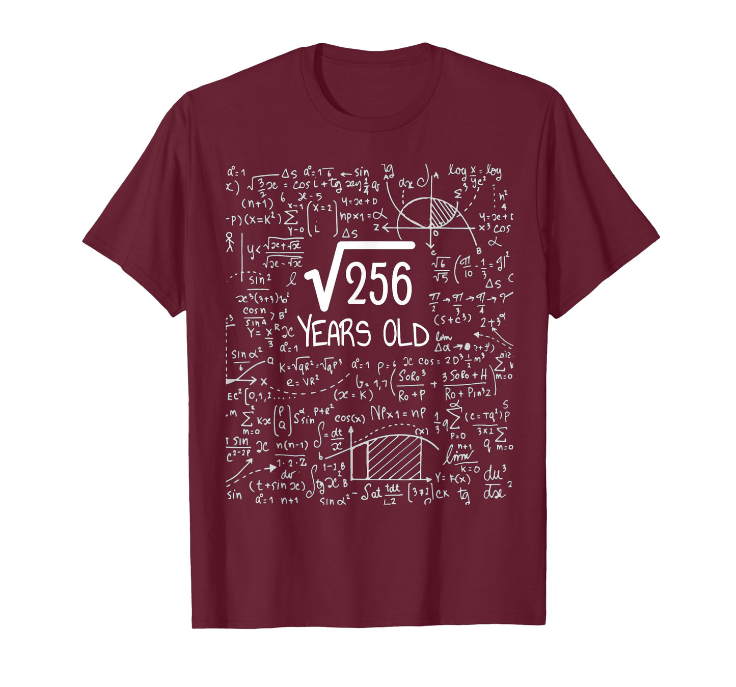 16th Birthday Square Root of 256: 16 Years Old T-Shirt