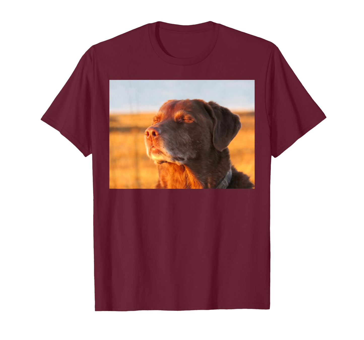 Cooked Dog Meme T-Shirt