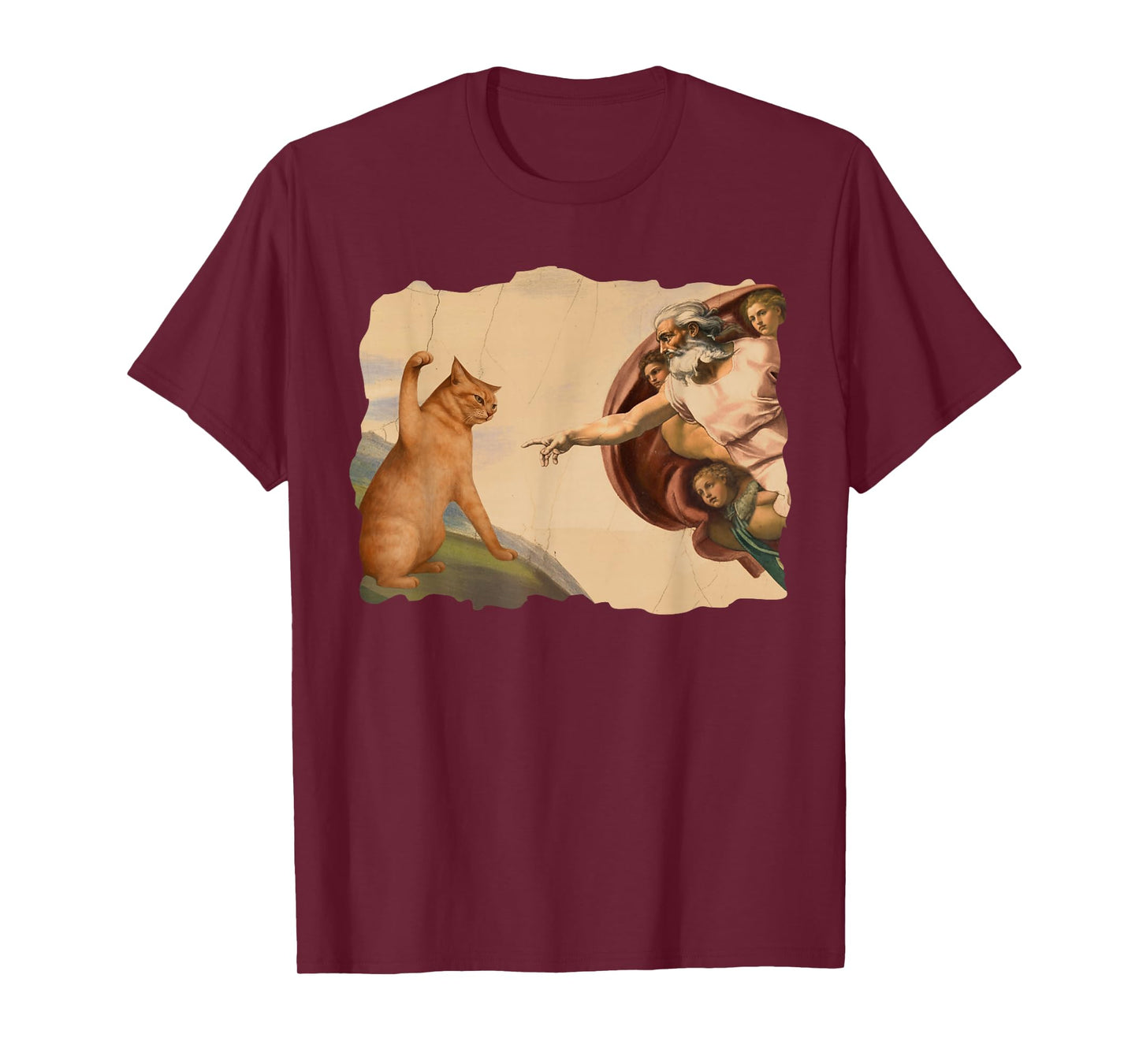 Funny Cat Swatting God's Hand Cat Shawncraft Cat Men Women T-Shirt