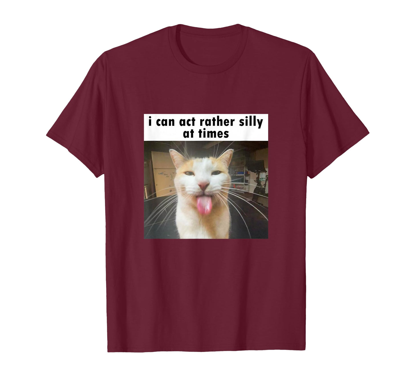I Can Act Rather Silly at Times, Funny Silly Cat Meme T-Shirt