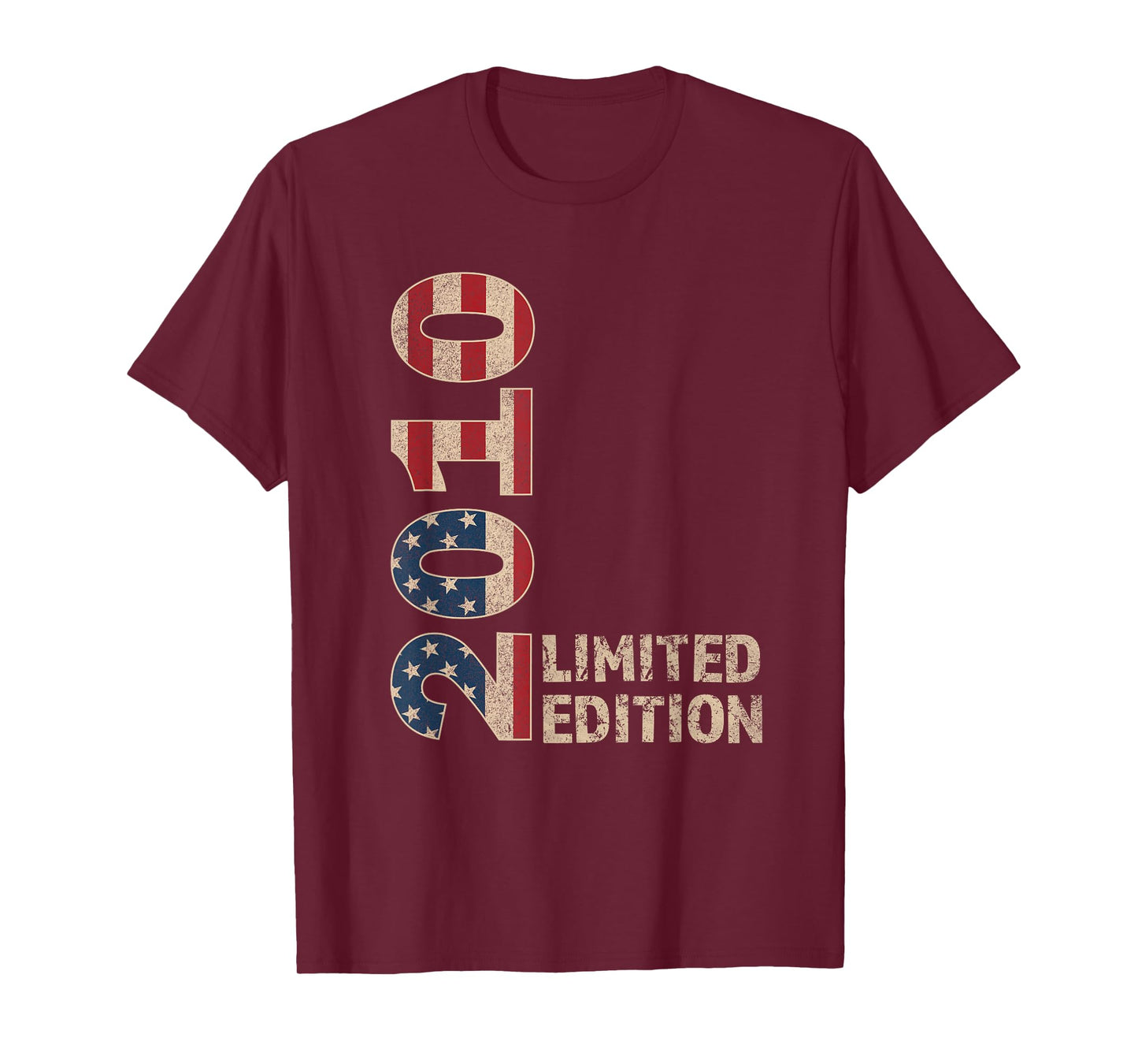 15th Birthday Gift Boy Vintage Born 2010 Turning 15 Year old T-Shirt