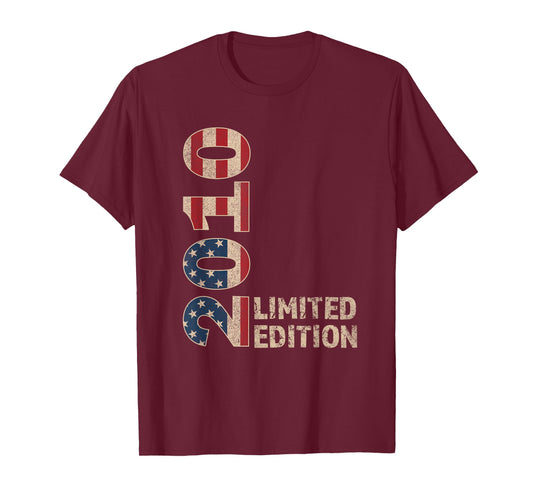 15th Birthday Gift Boy Vintage Born 2010 Turning 15 Year old T-Shirt