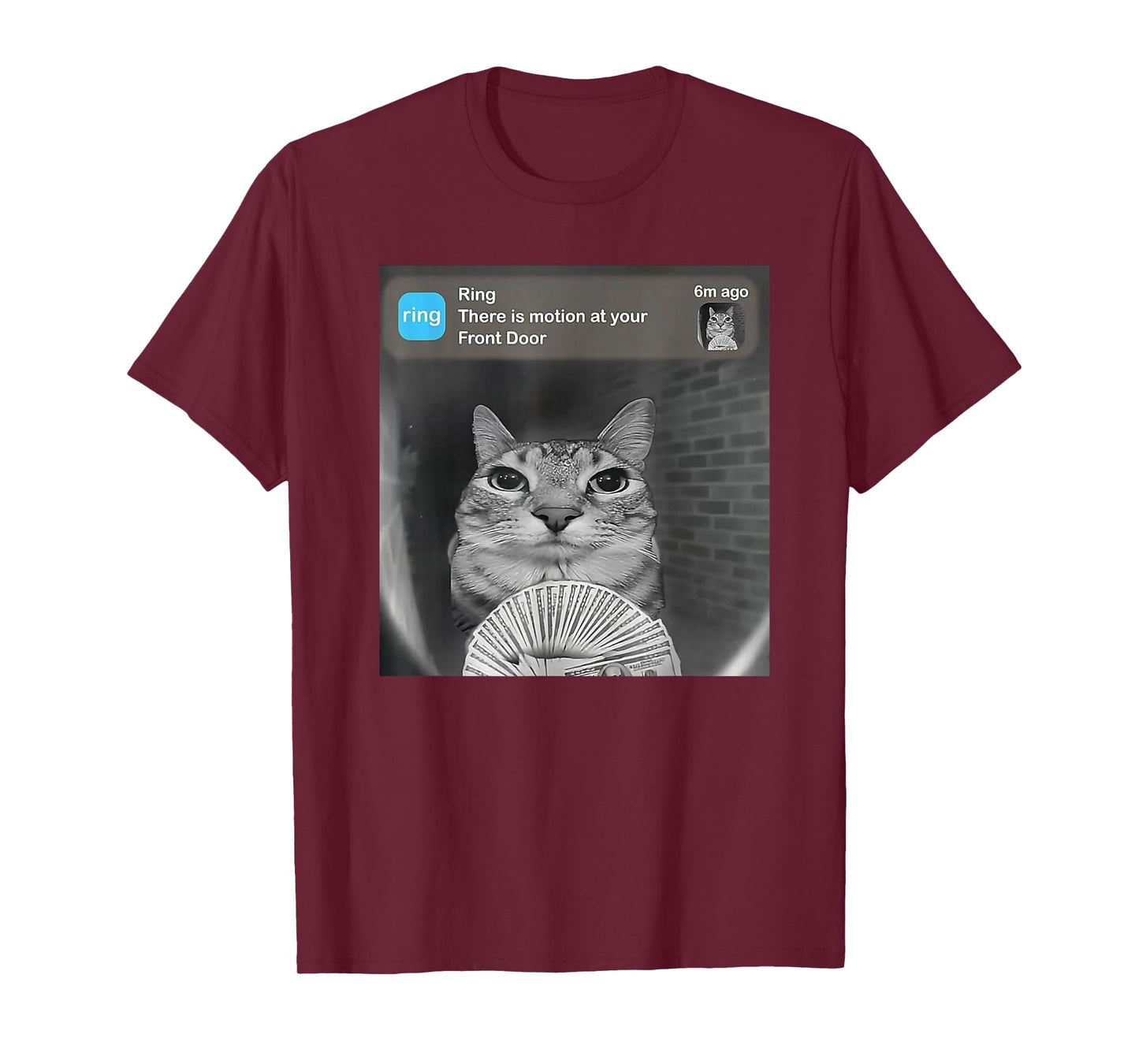 Funny Cat Meme Money Doorbell Joke T-Shirt