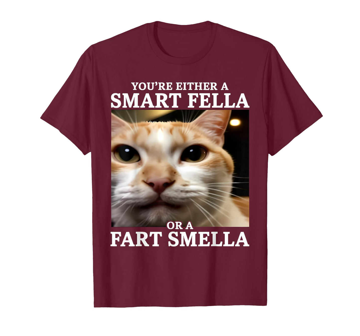 You're Either a Smart Fella or a Fart Smella Funny Cat Meme T-Shirt