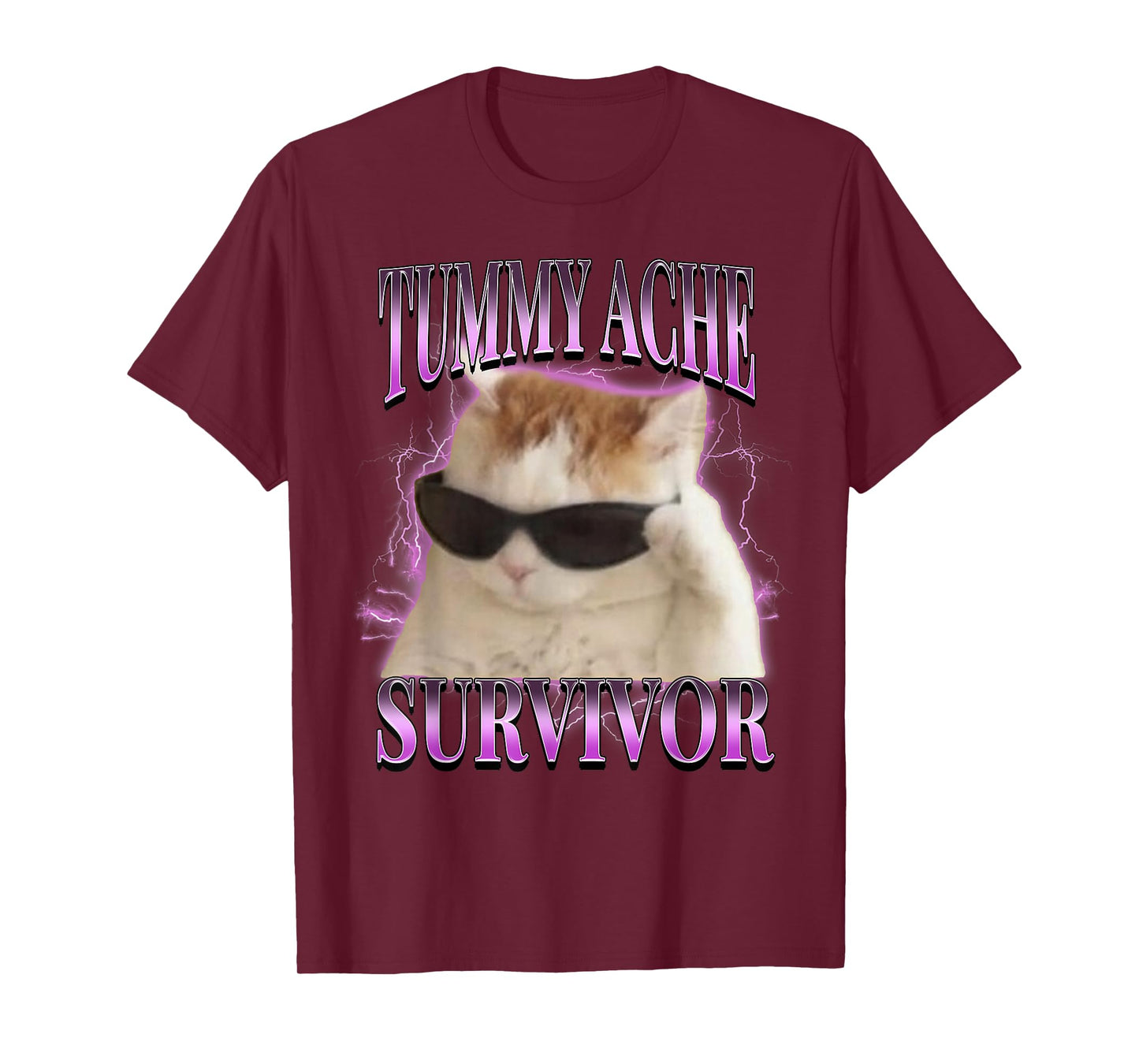 I Survived Today's Tummy Ache Silly Cat Meme Funny Cats T-Shirt