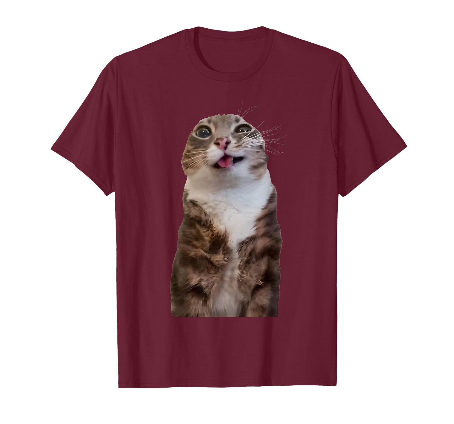Rigby Cat Funny Rigby Cat Meme Rigby Cat Silly Cat Trendy T-Shirt