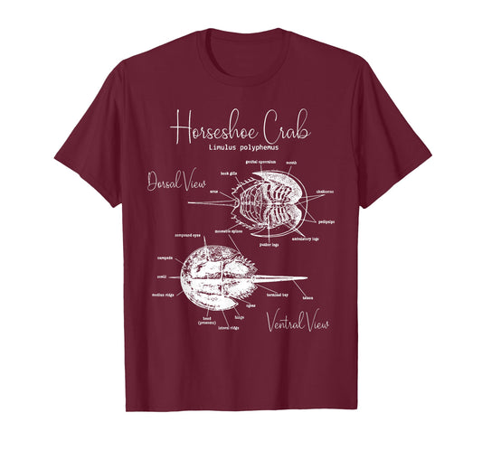 Atlantic Horseshoe Crab Anatomy Marine Biology Ocean Animal T-Shirt