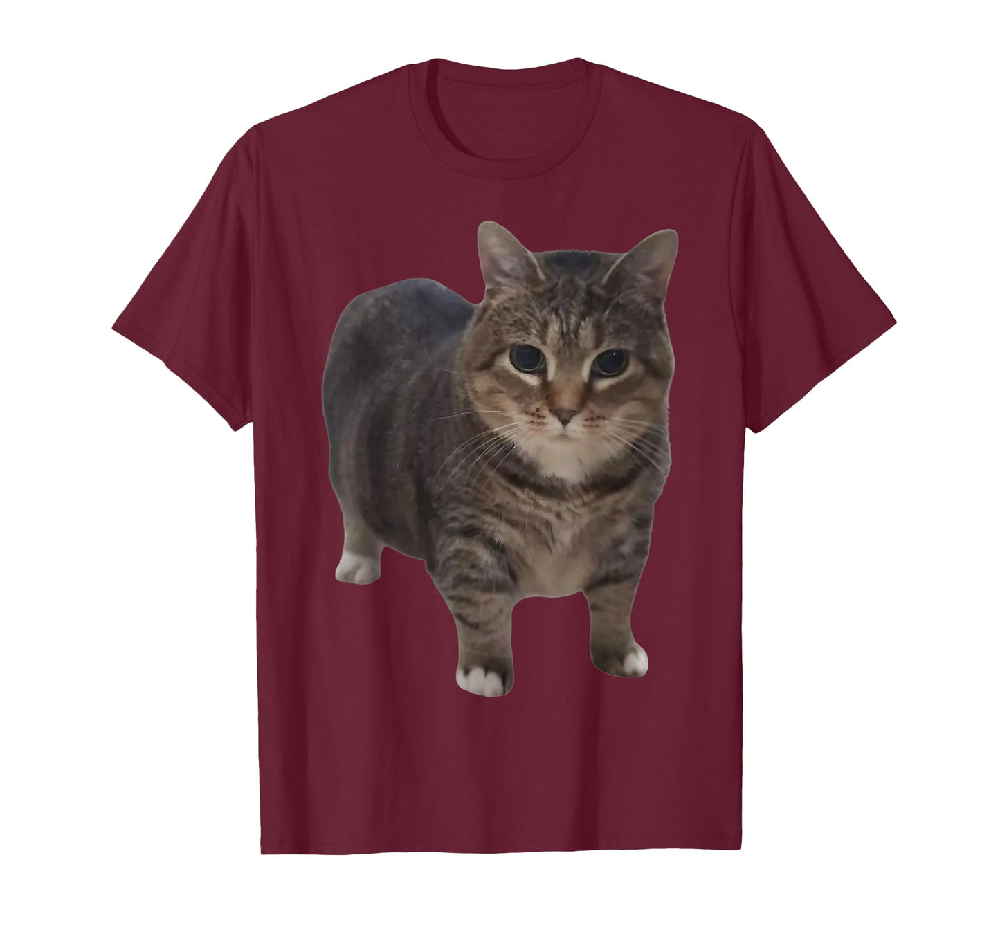 Oiia Oiia Cat Funny Spinning Cat Meme T-Shirt