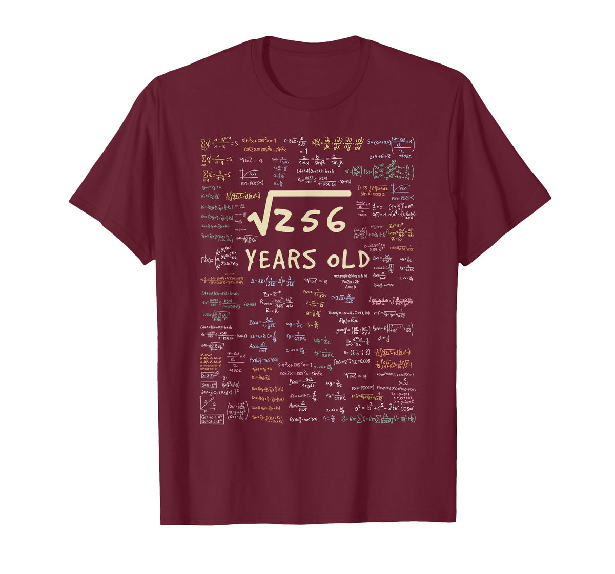 Maths Birthday Gift - 16 Years Formula 16 Birthday T-Shirt