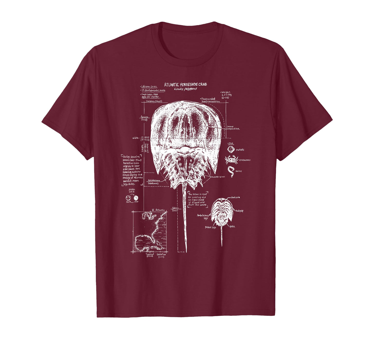 Atlantic Horseshoe Crab Anatomy Marine Biology Ocean Animal T-Shirt