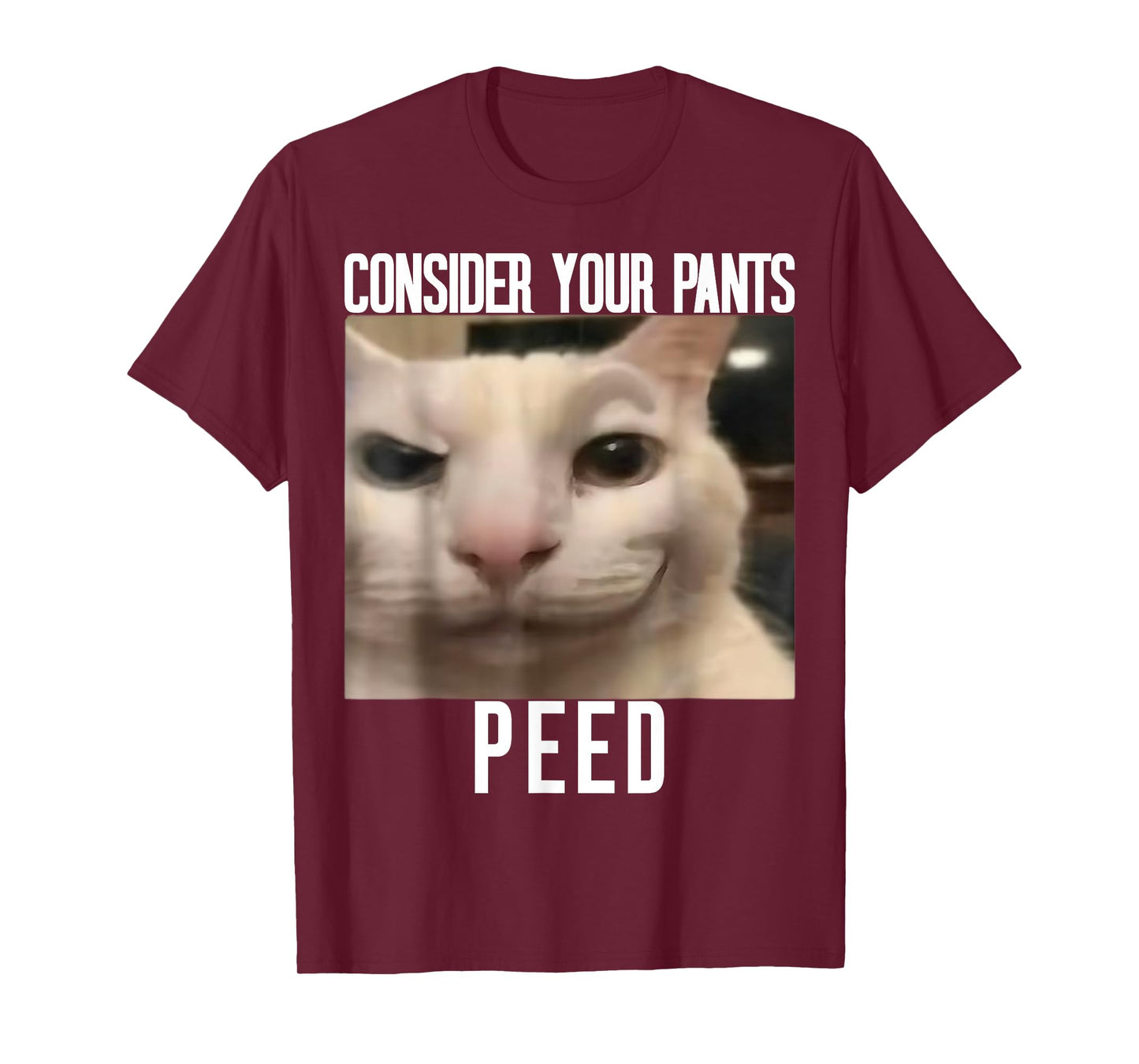 Consider Your Pants Peed Weird Cat Meme Funny Memes Brainrot T-Shirt