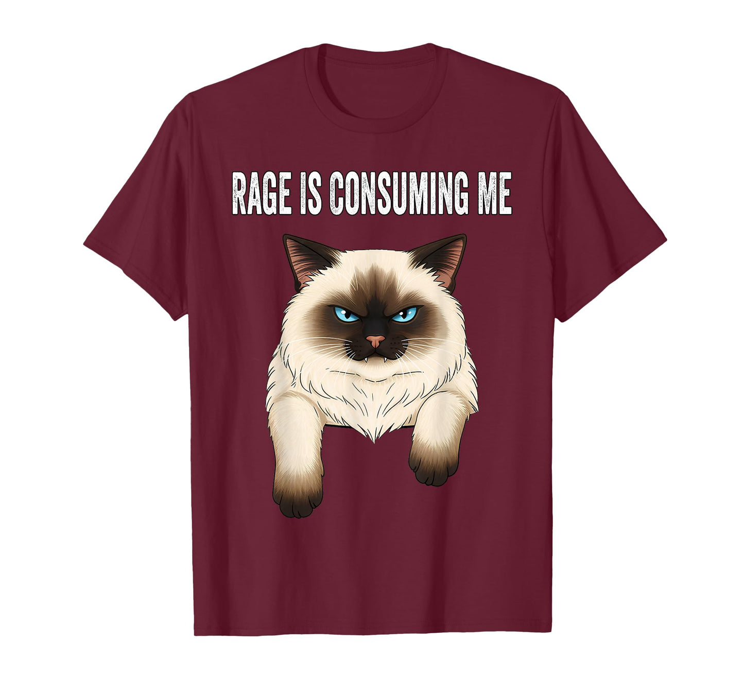 Silly Cat Rage is Consuming Me Silly Cats Funny Cat Meme T-Shirt