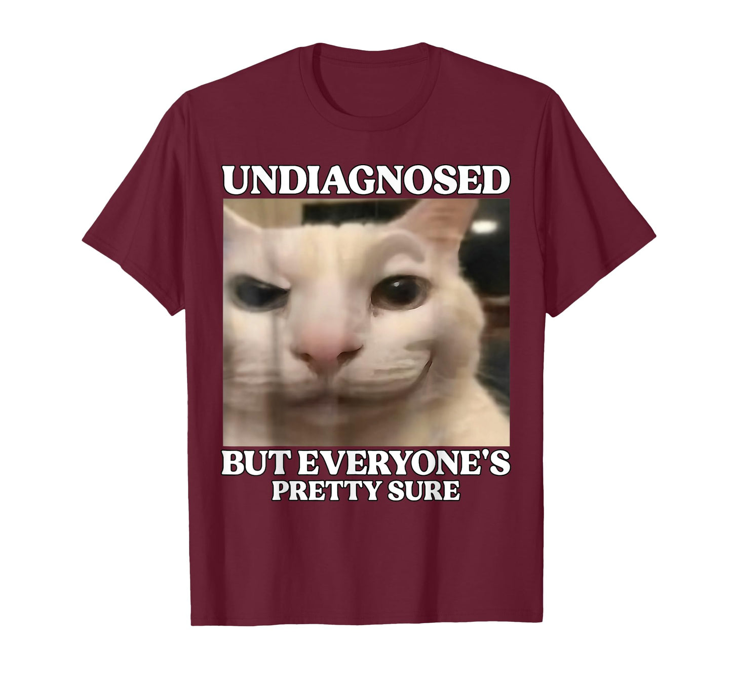 Undiagnosed But Everyone's Pretty Sure Funny Silly Cat Meme T-Shirt