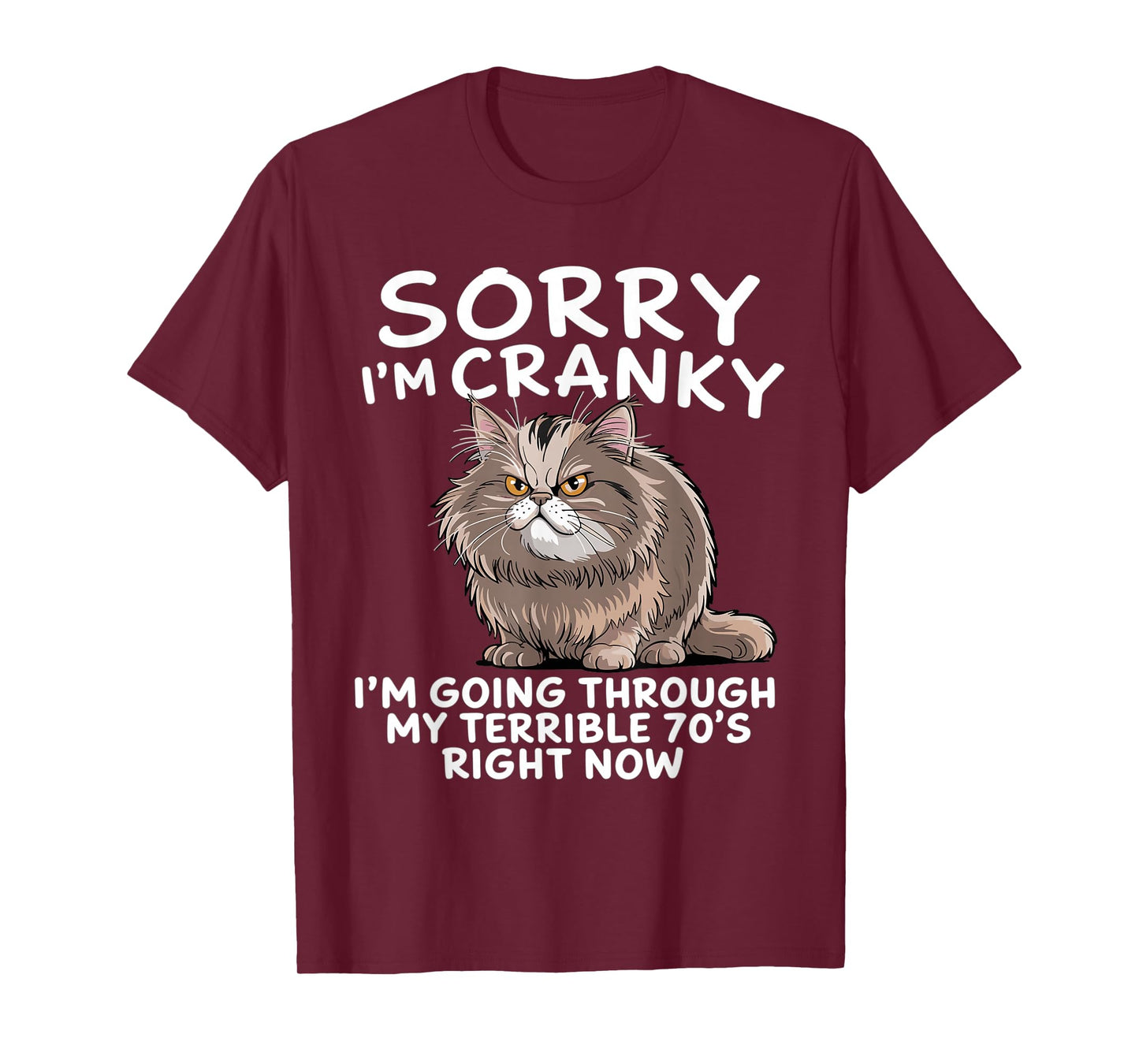Sorry I Am Cranky I'm Going Through My Terrible Seventies T-Shirt