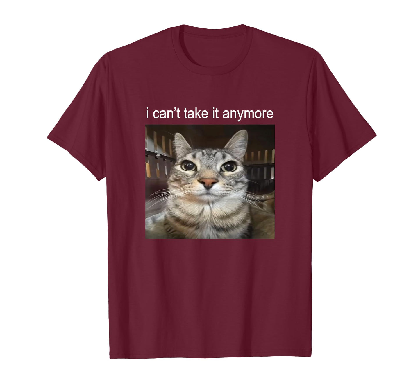 Silly Staring Cat I Can't Take It Anymore Meme T-Shirt