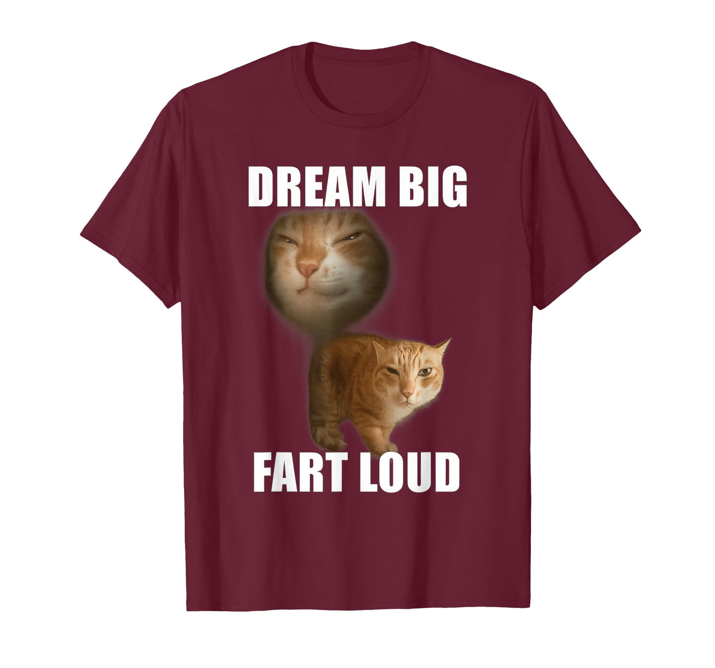 Dream big fart loud funny cat meme T-Shirt