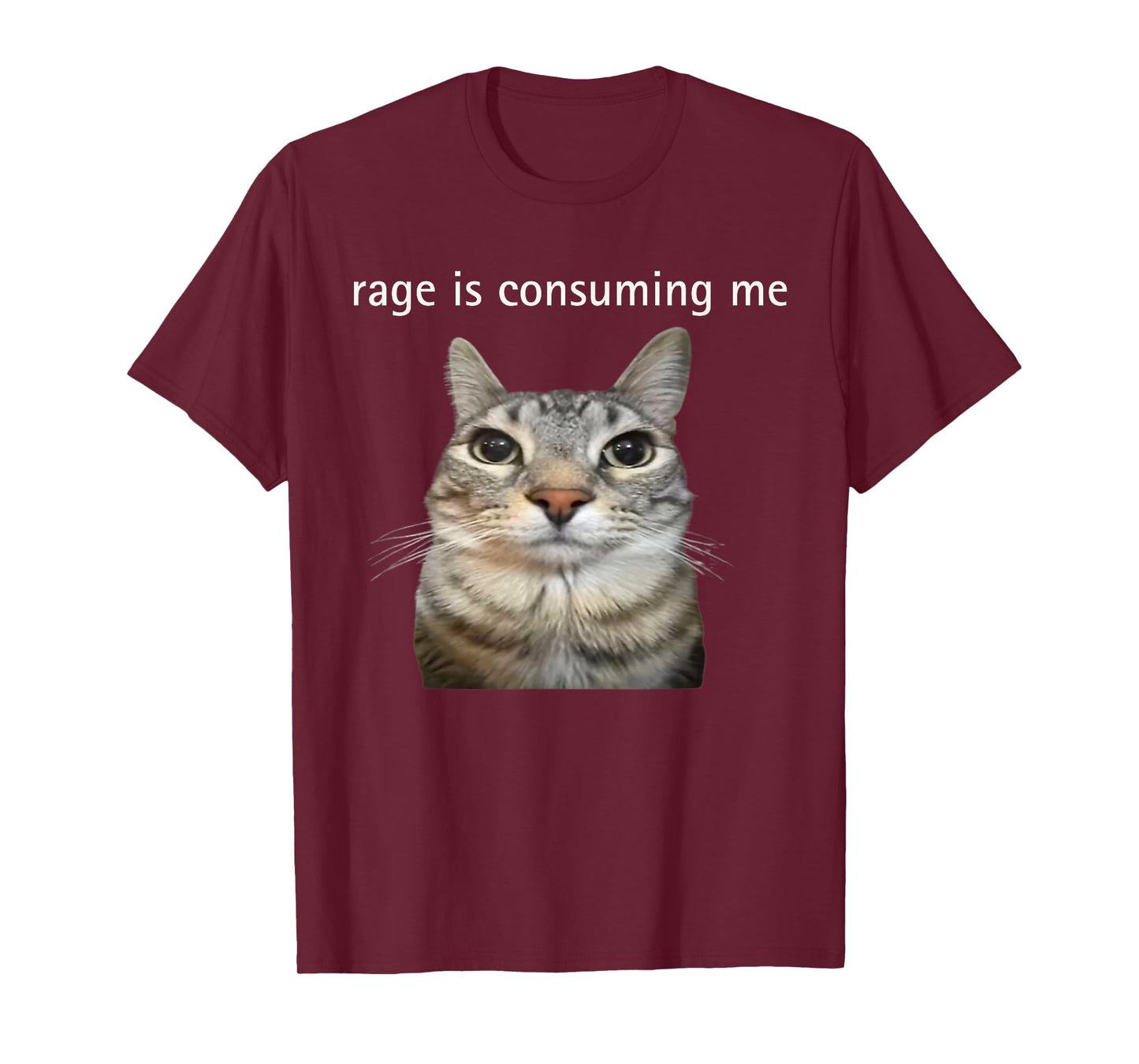 Rage Is Consuming Me Silly Staring Cat Meme Dad Mom T-Shirt