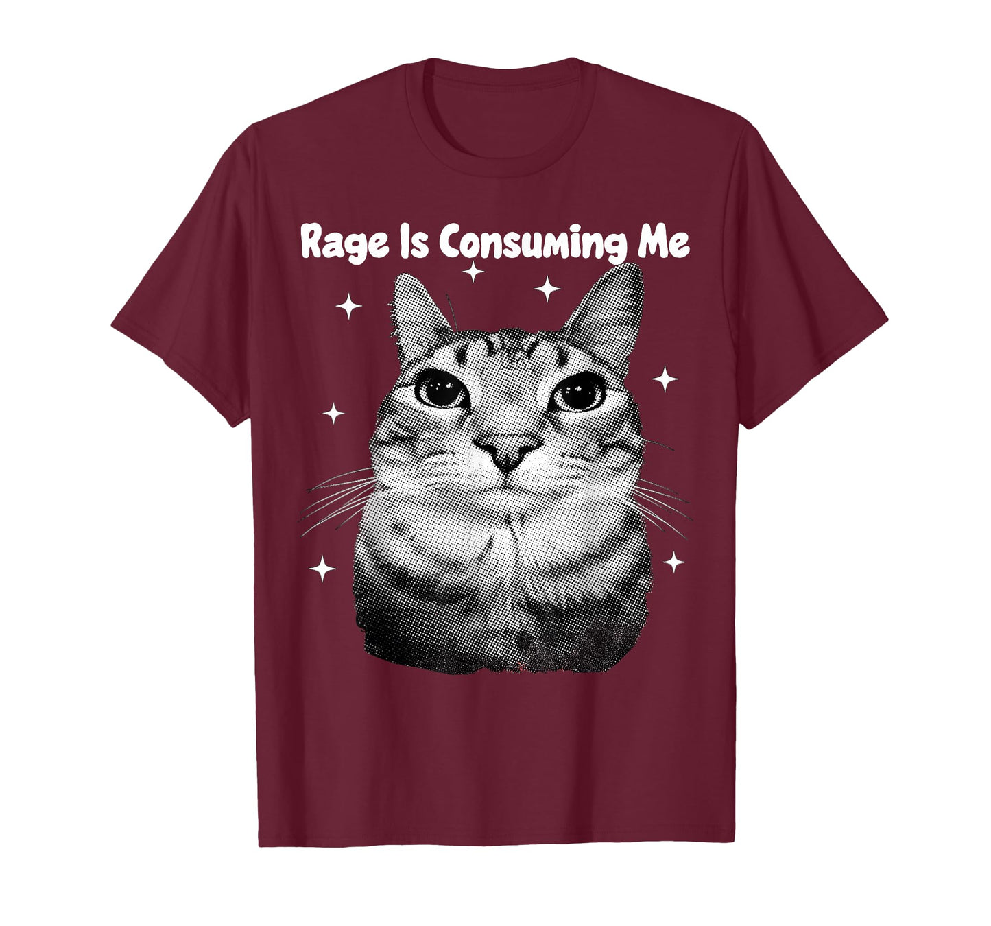 Y2K Cat Rage is Consuming Me Silly Staring Cat Meme Silly T-Shirt