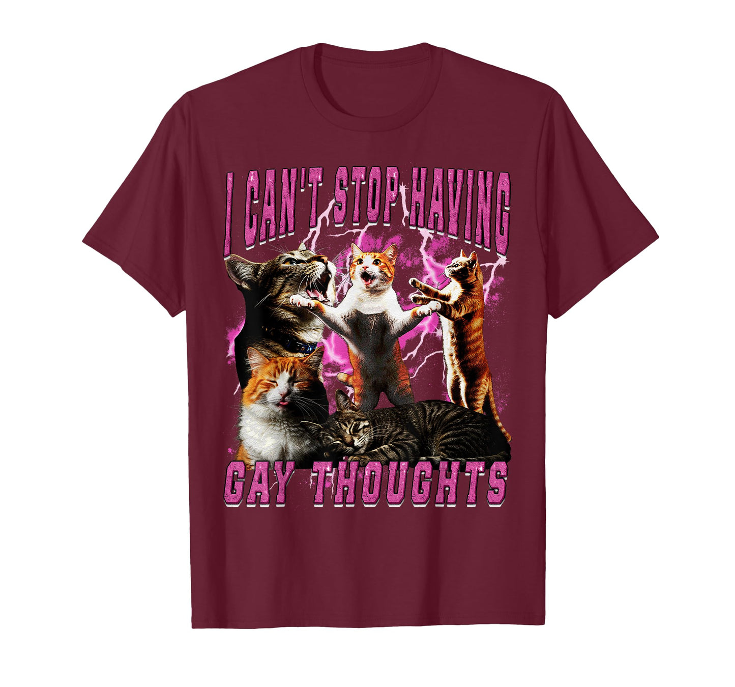 I Can't Stop Having Gay Thoughts Funny Cat Meme Bootleg T-Shirt