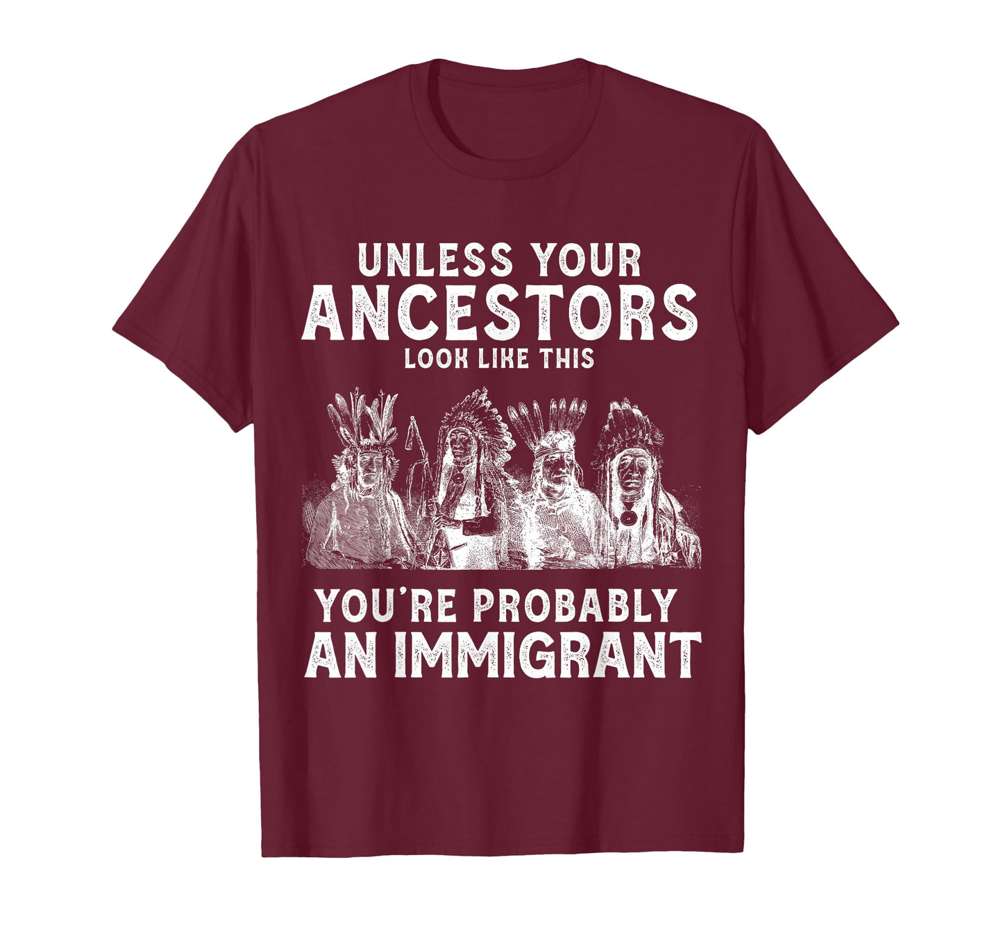American Indian You're Probably an Immigrant T-Shirt