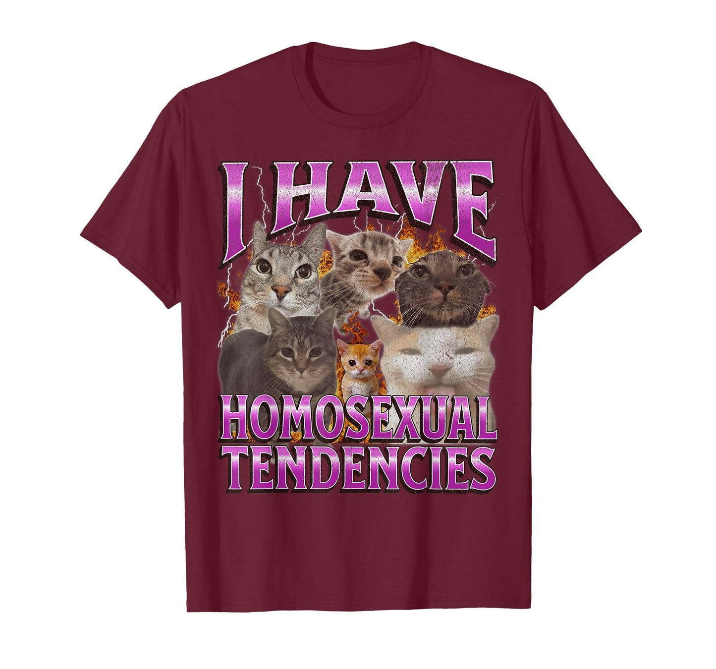I Have Homosexual Tendencies Funny Cat Meme Bootleg Graphic T-Shirt for Men Women