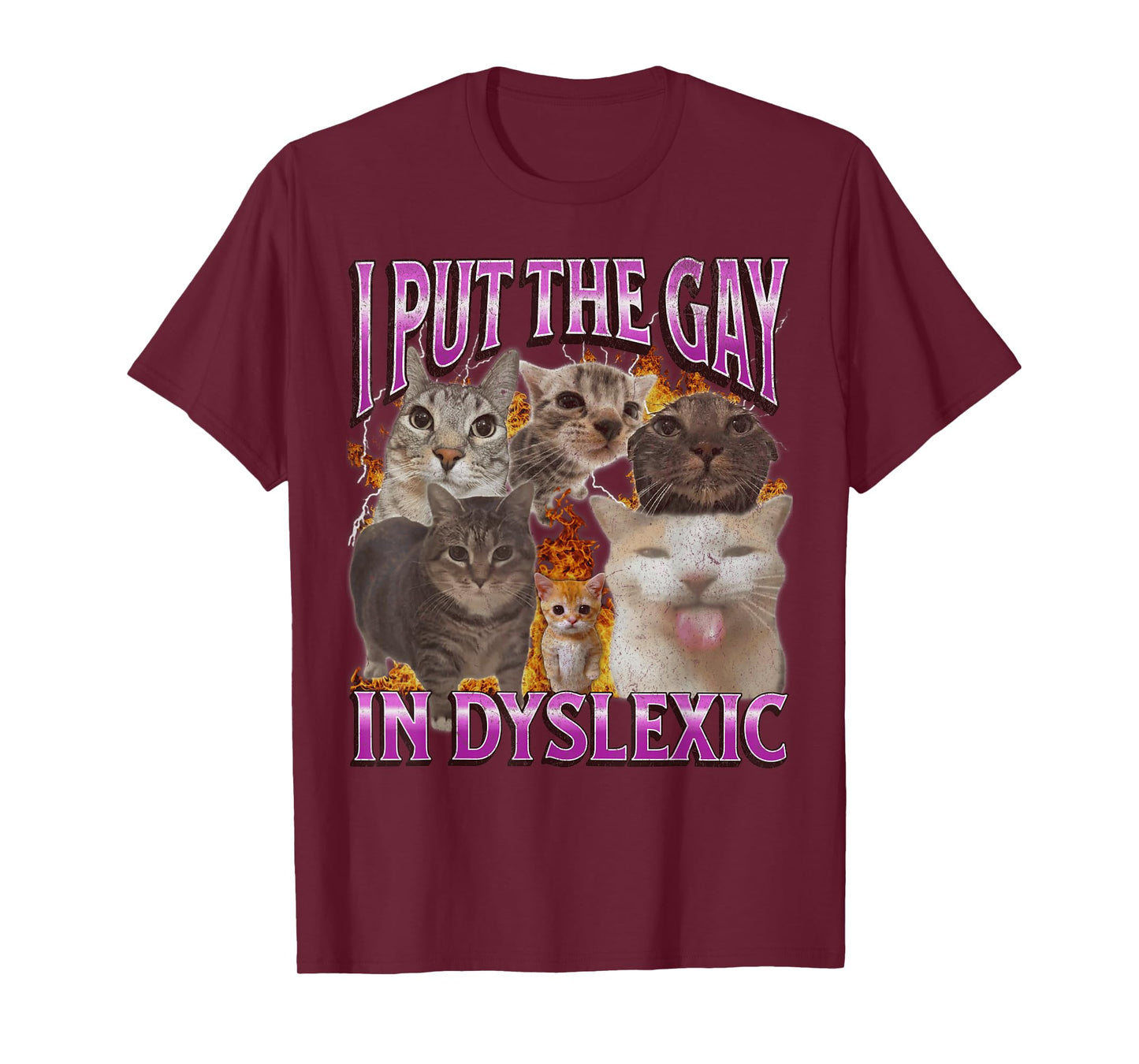 I Put The Gay In Dyslexic Funny Cat Meme Bootleg Graphic Men Women T-Shirt