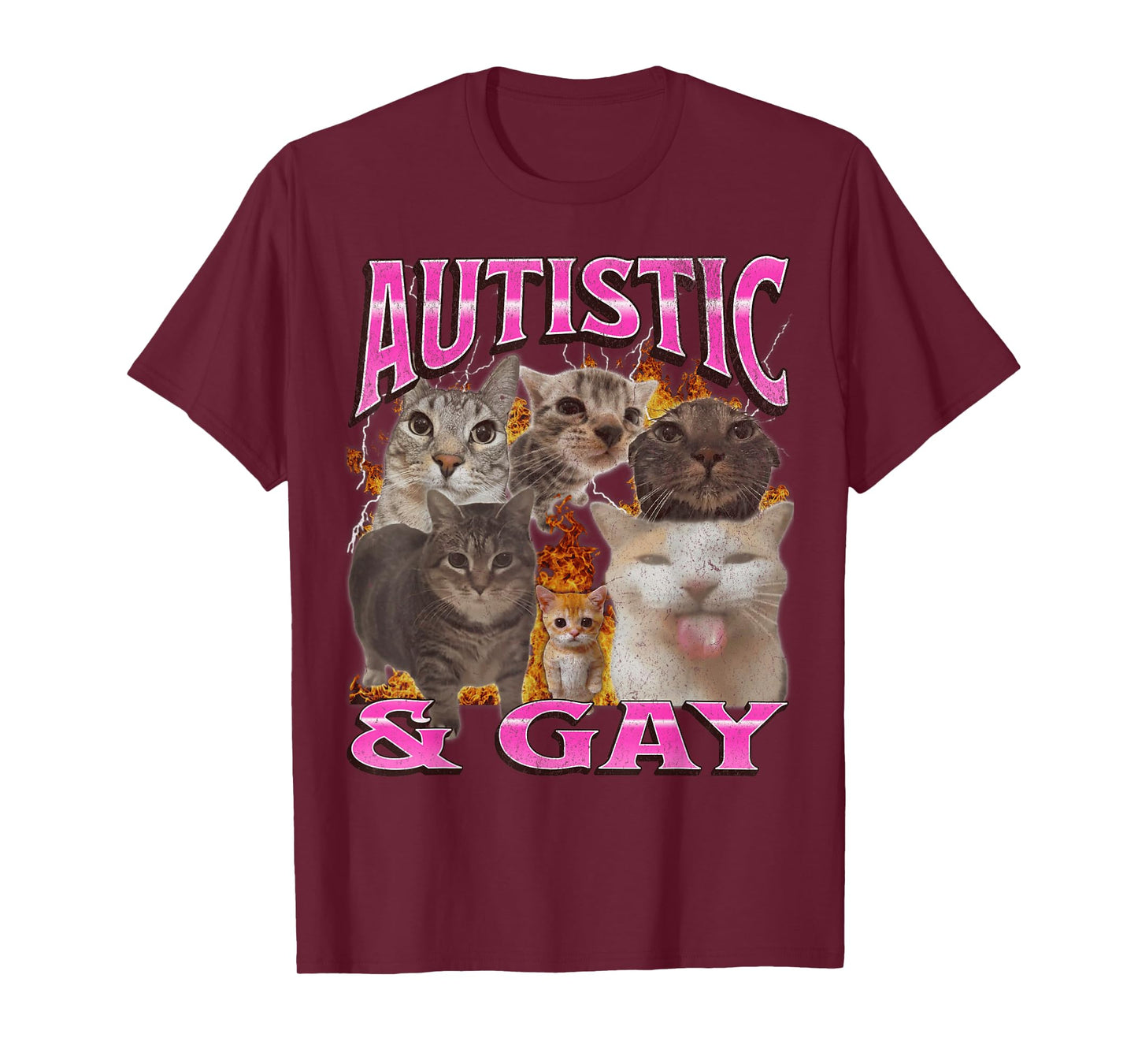 Autistic and Gay Funny Cat Meme Bootleg Graphic T-Shirt for Men Women