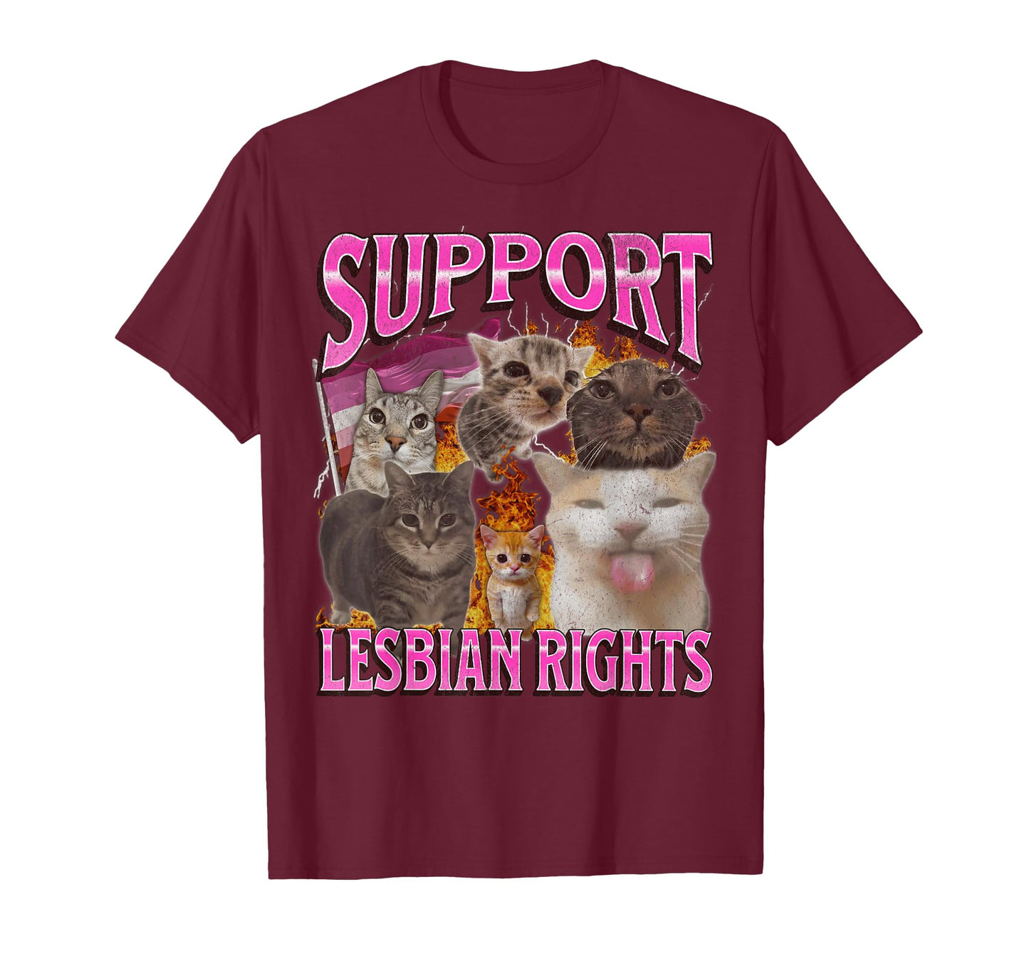 Support Lesbian Rights Funny Gay Cat Meme Bootleg Graphic T-Shirt for Men Women
