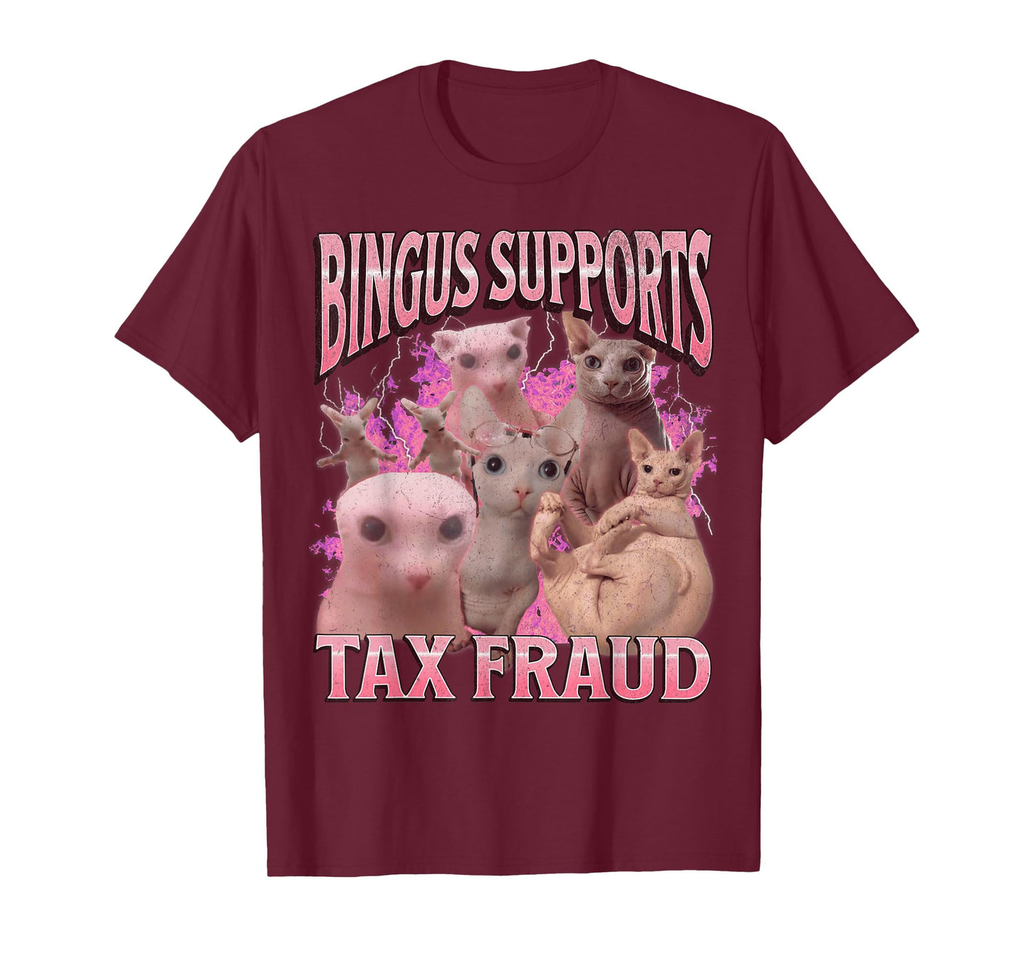 Bingus Supports Tax Fraud Funny Sphinx Cat Meme Bootleg T-Shirt