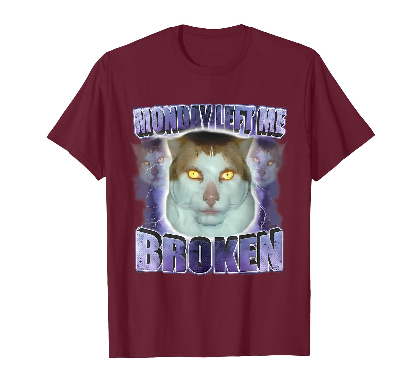 Monday Left Me Broken Funny Cat Meme Unhinged Brainrot Men Women T-Shirt