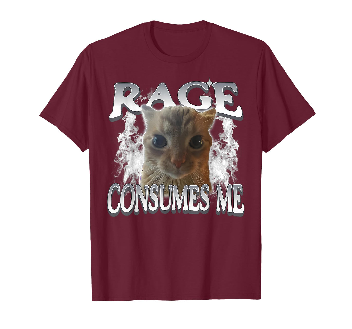 Rage Consumes Me Funny Silly Staring Cat Meme Women Men T-Shirt