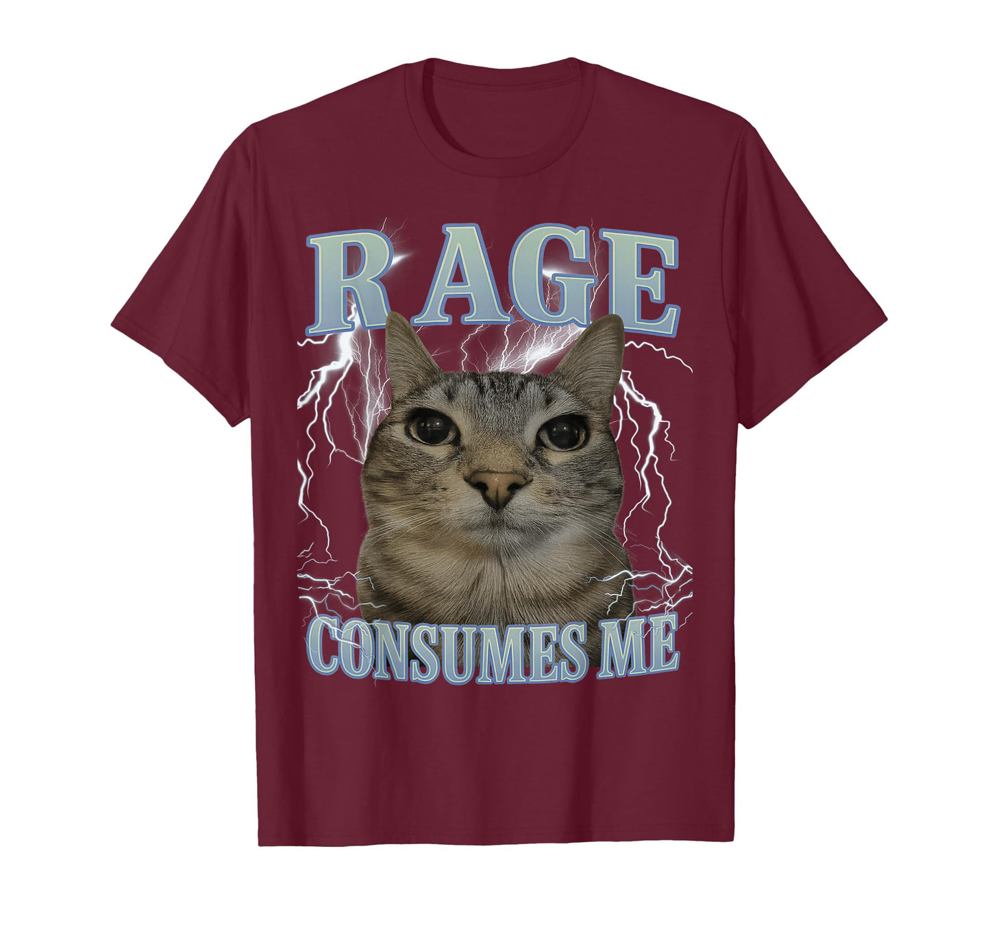 Rage Consumes Me Cat Silly Funny Cat Meme Men Women Graphic T-Shirt