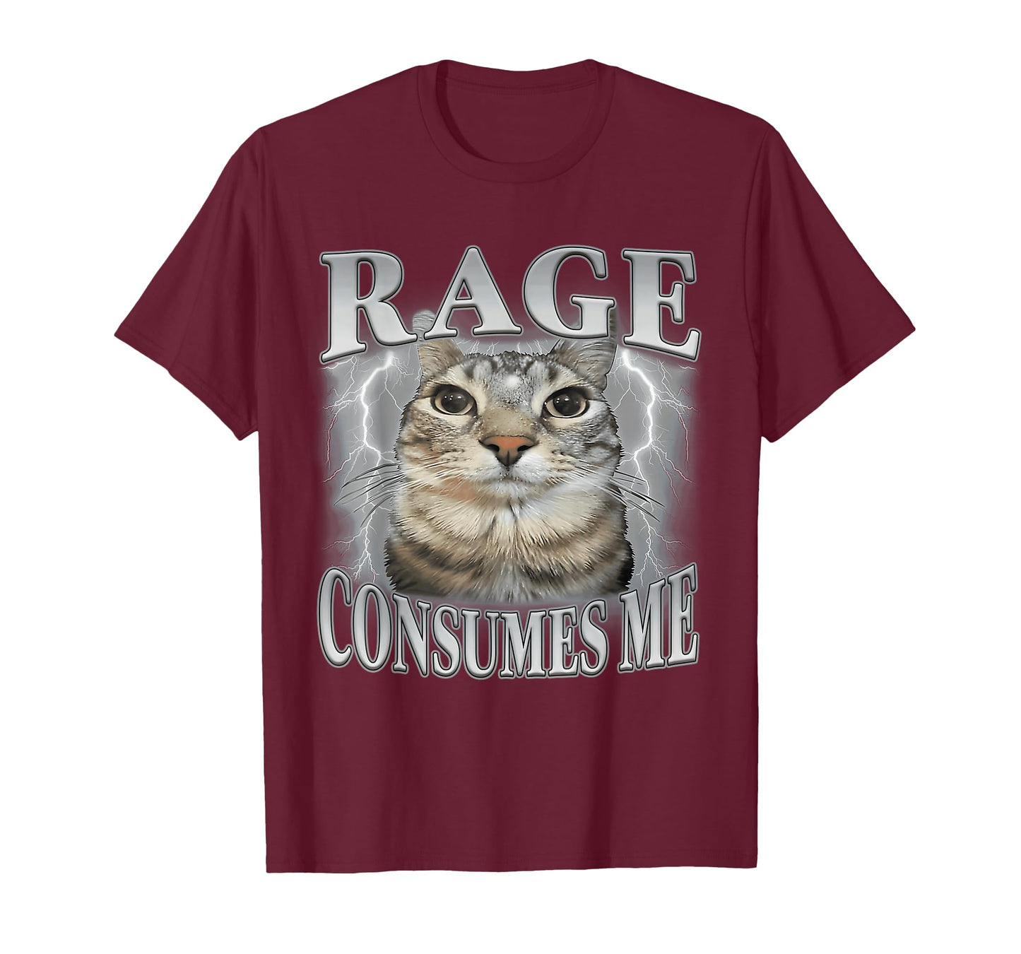 Rage Consumes Me Funny Silly Staring Cat Meme Women Men T-Shirt