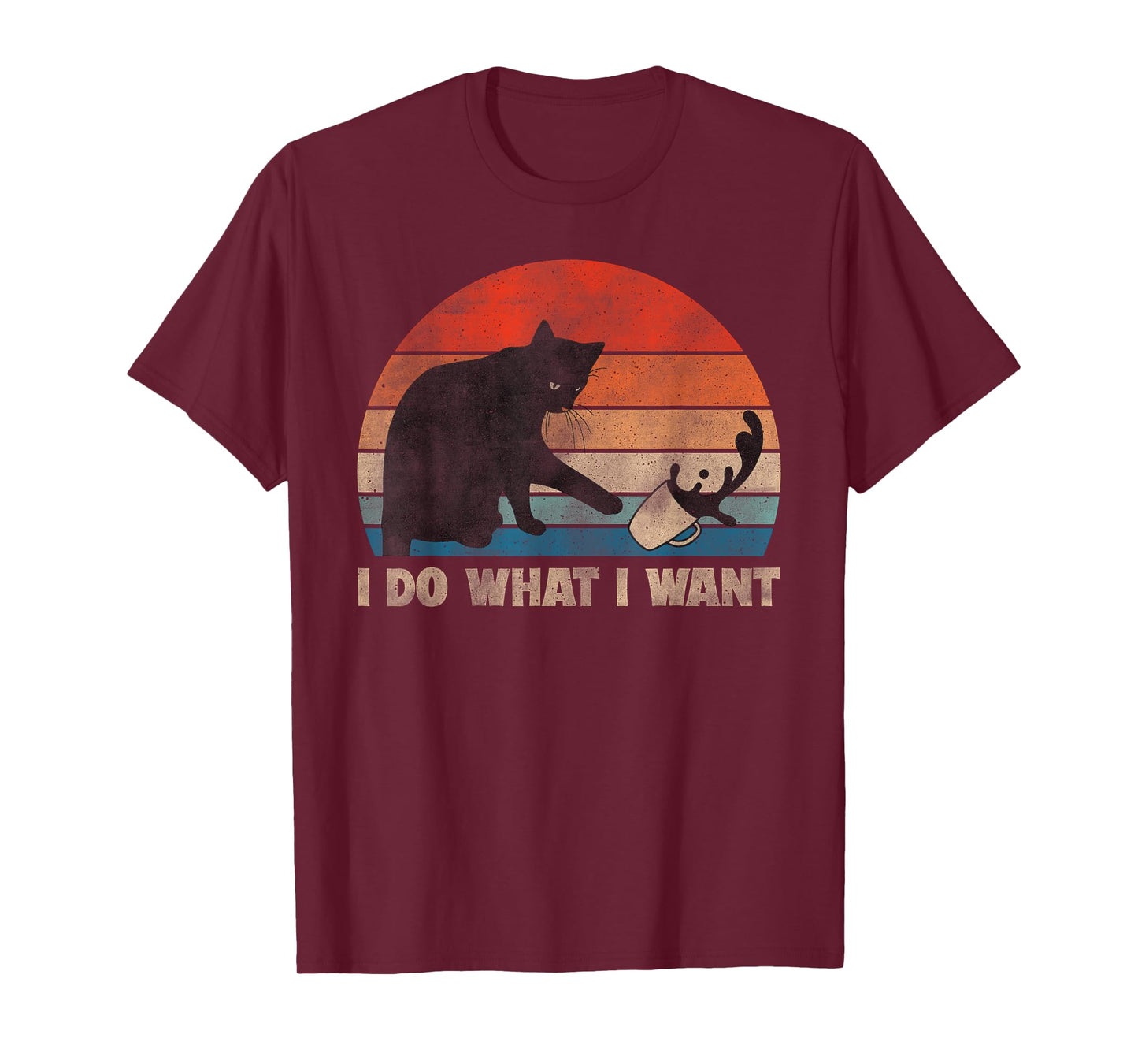 Funny Cat, I Do What I Want Cat, Cat Lover, Cat Humor, Cat T-Shirt