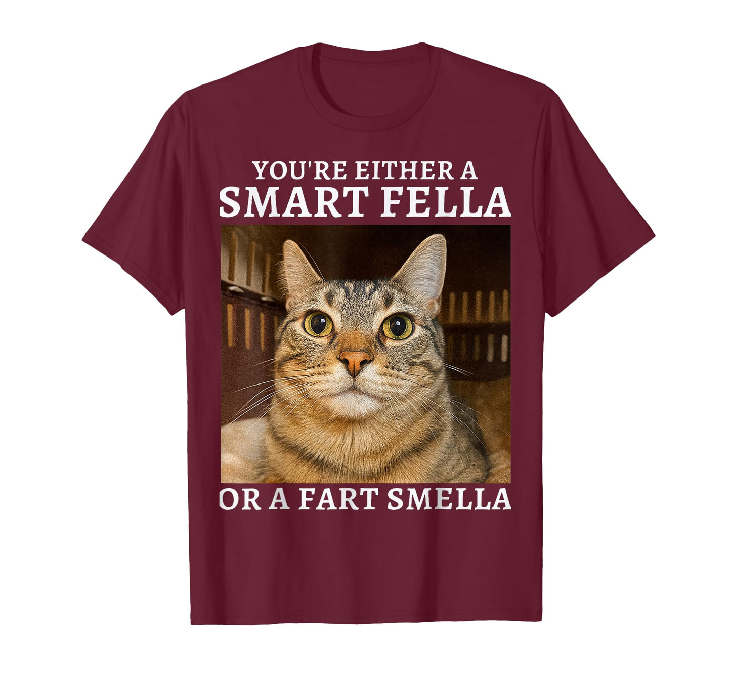 You're Either a Smart Fella or a Fart Smella Funny Cat Humor T-Shirt