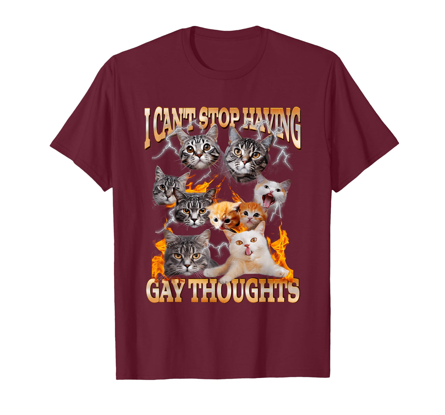 I Can't Stop Having Gay Thoughts Funny Cat Meme Bootleg T-Shirt