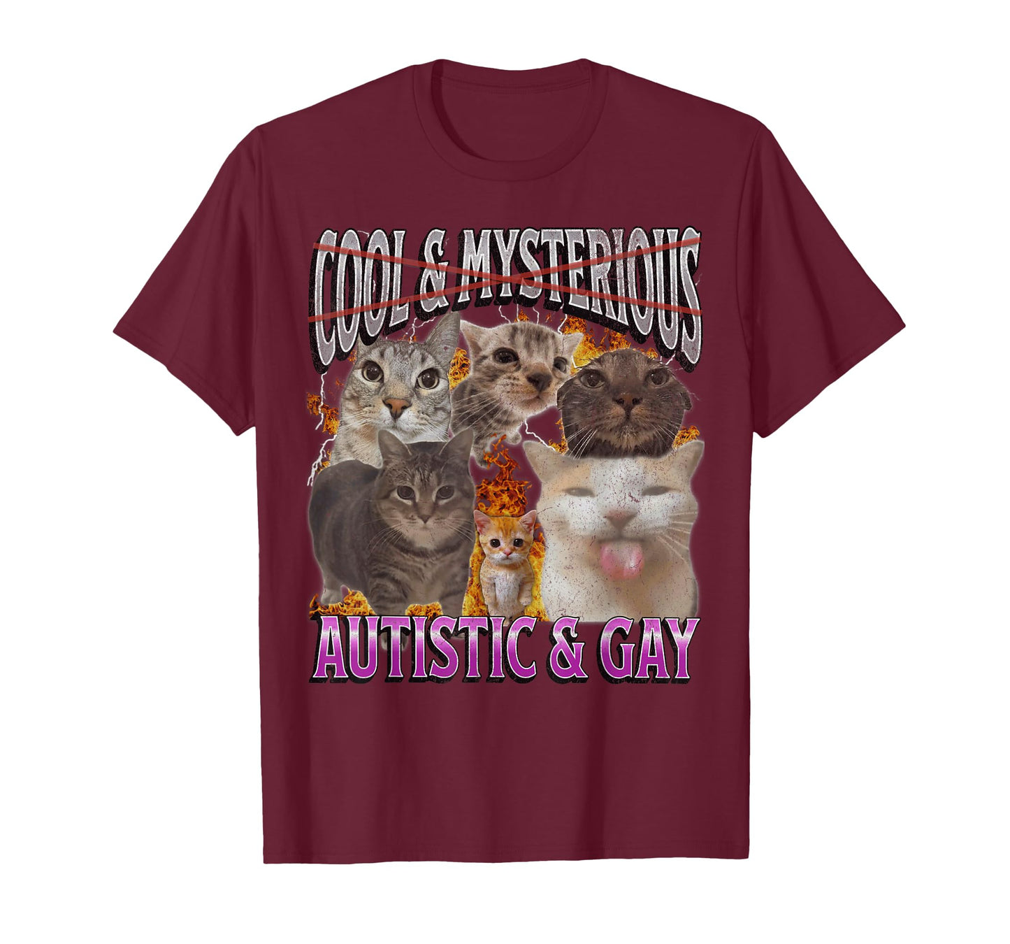 Autistic and Gay Funny Cat Meme Bootleg Graphic T-Shirt