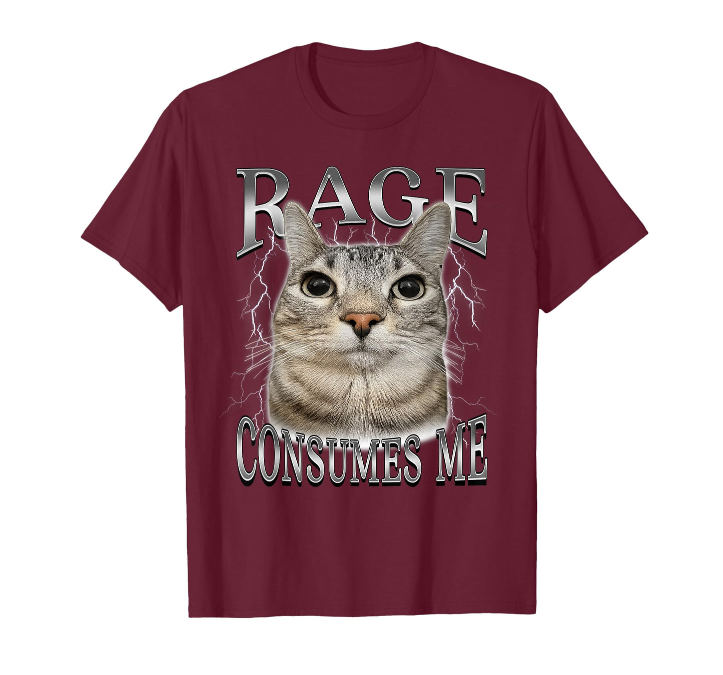 Rage Consumes Me Funny Silly Staring Cat Meme Women Men T-Shirt