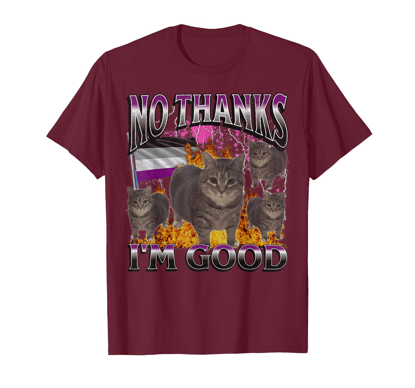 No Thanks I'm Good Funny Asexual Lgbtq Cat Meme Bootleg T-Shirt