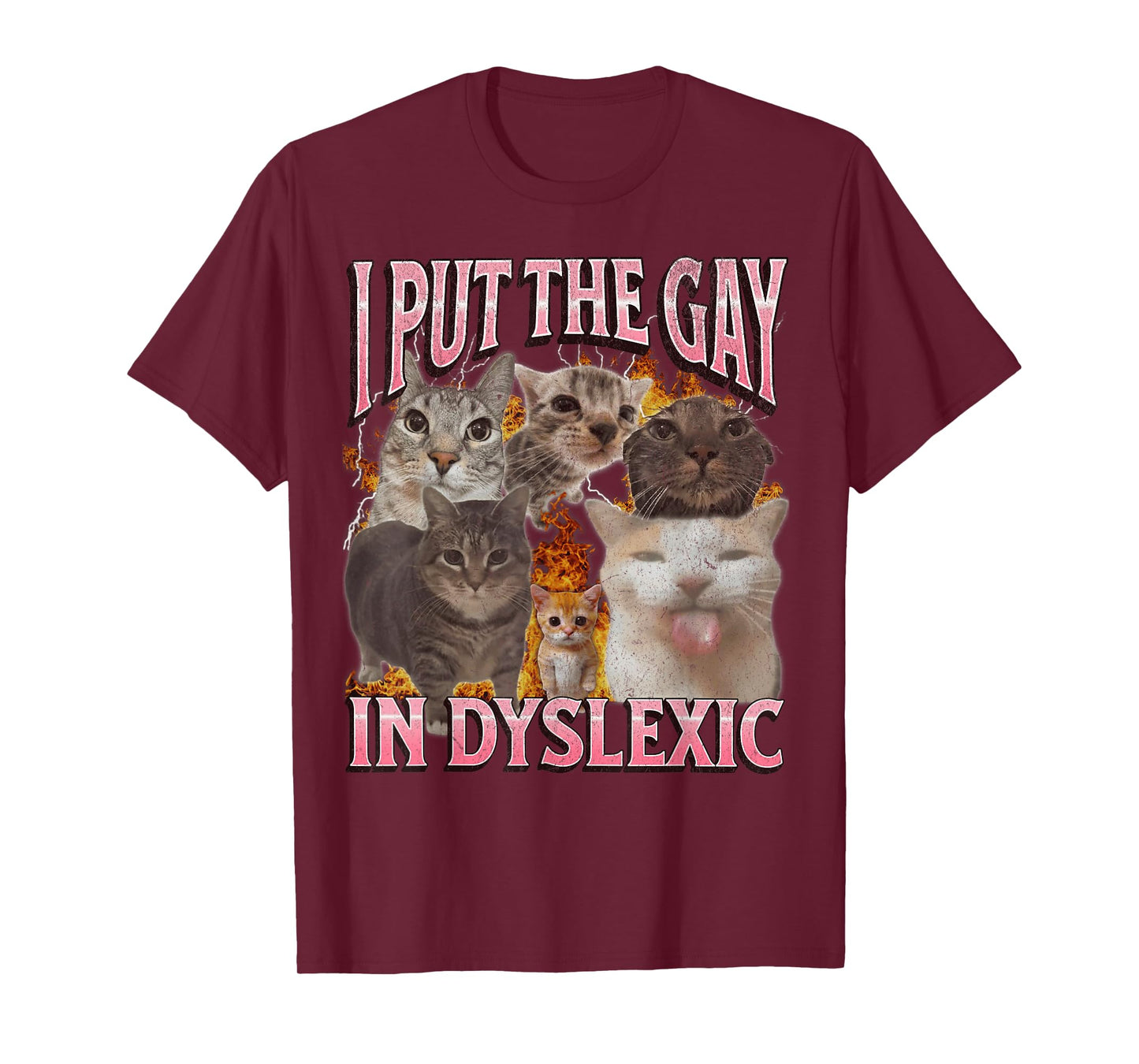 I Put The Gay in Dyslexic Funny Cat Meme Bootleg Graphic Men Women T-Shirt