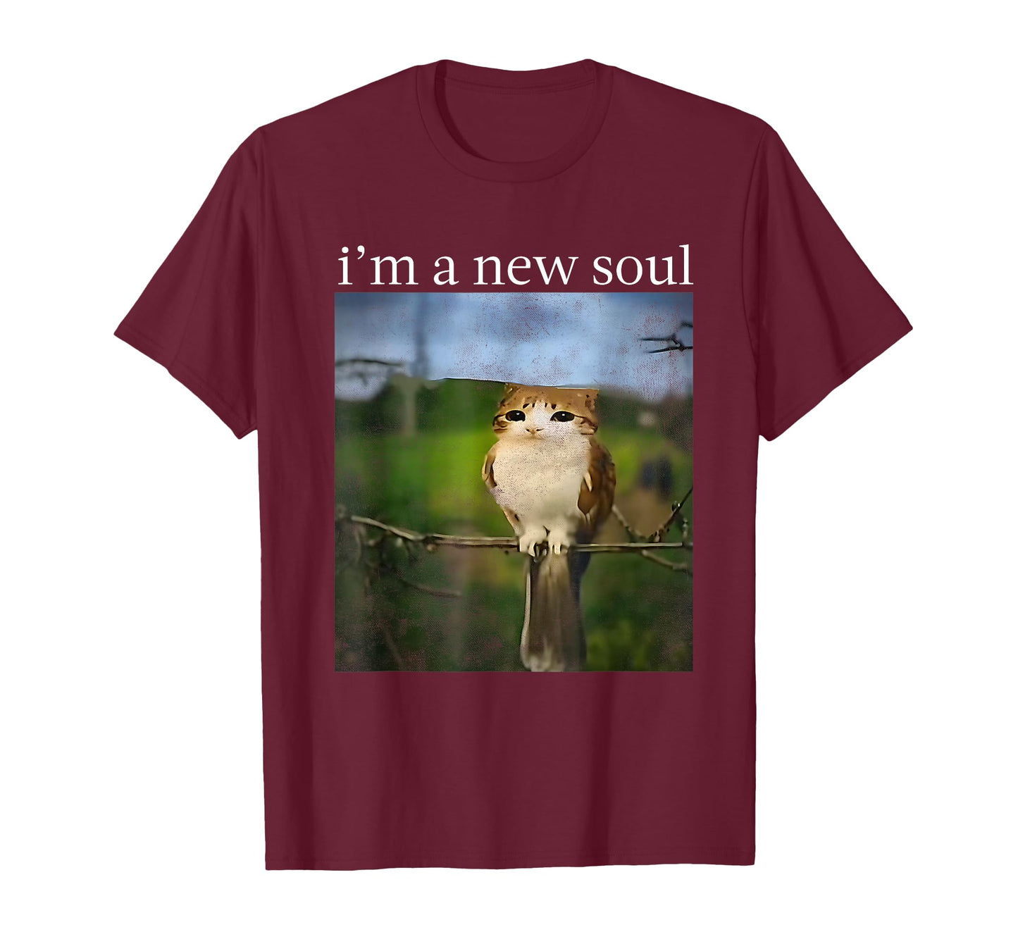 Funny meowl Meme, cat owl Meme brainrot gen Alpha Meme T-Shirt