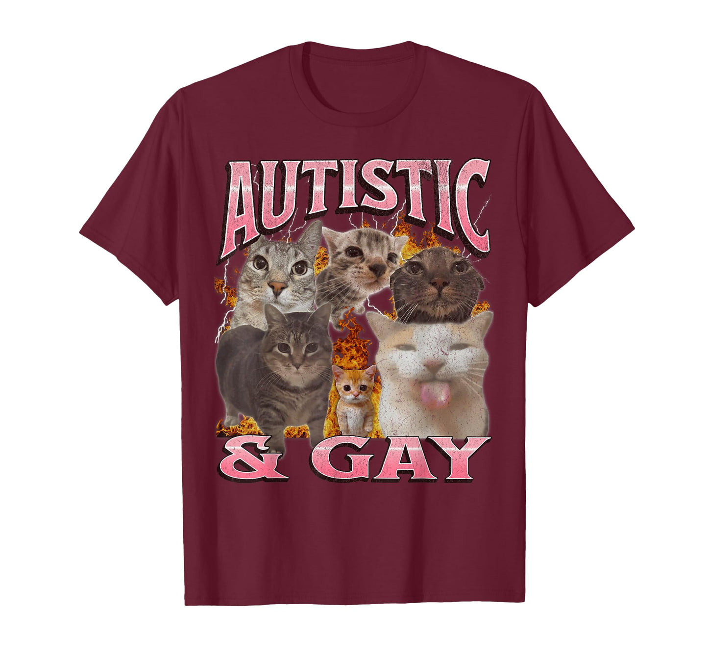 Autistic and Gay Funny Cat Meme Bootleg Graphic T-Shirt