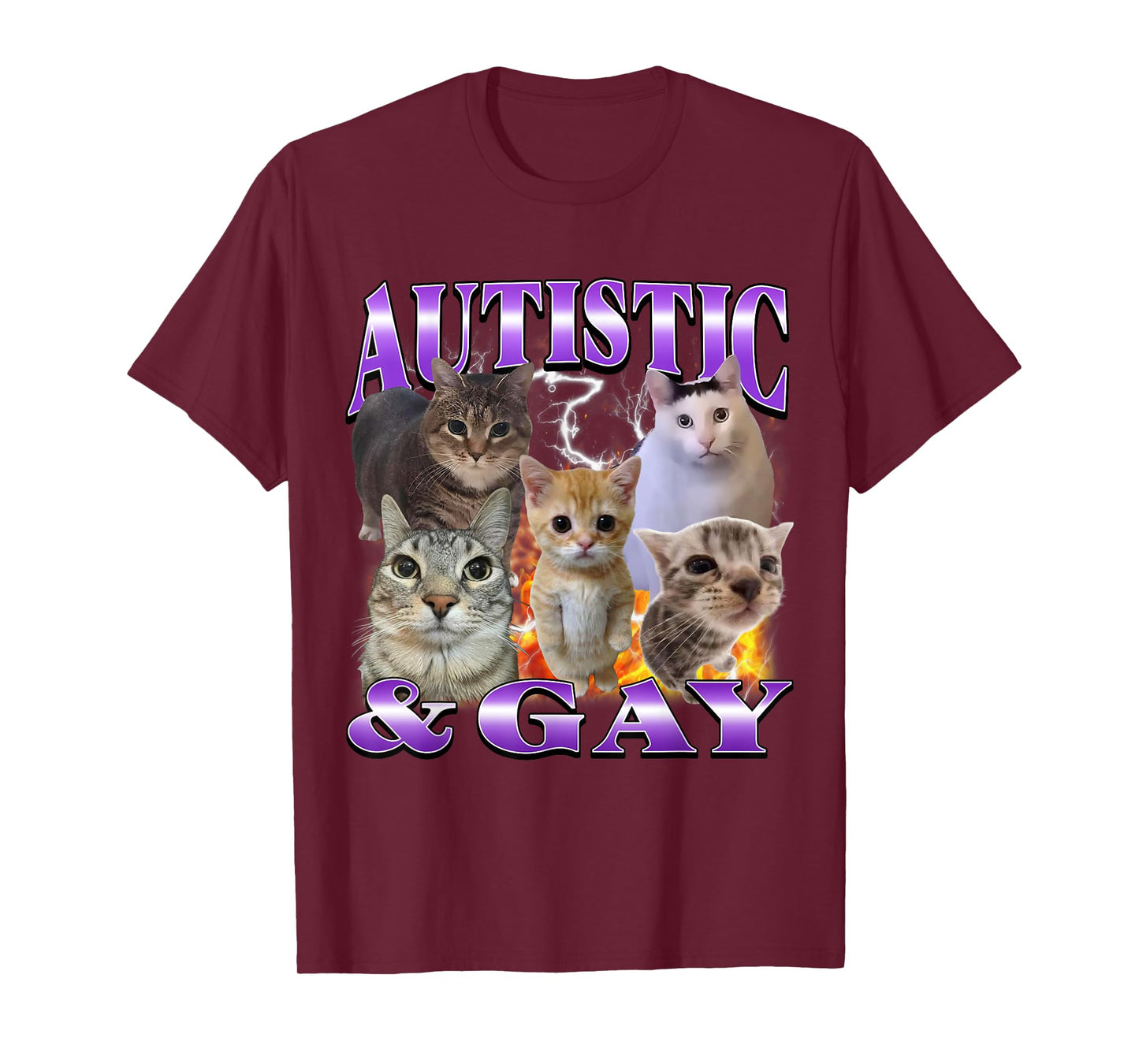 Autistic and Gay Funny Offensive Cat Meme Bootleg Men Women T-Shirt