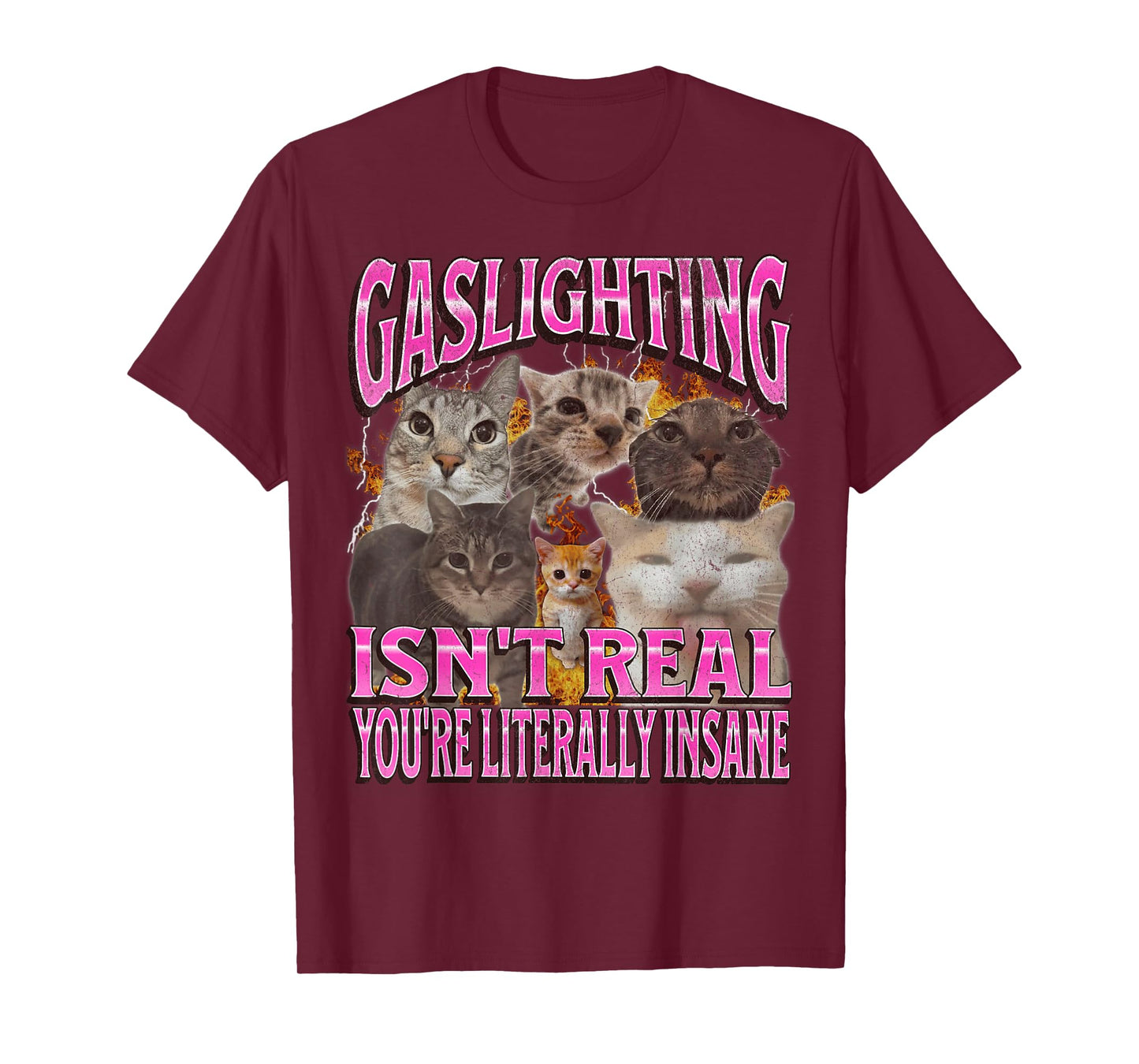 Gaslighting Isn't Real Funny Cat Meme Bootleg Graphic T-Shirt for Men Women